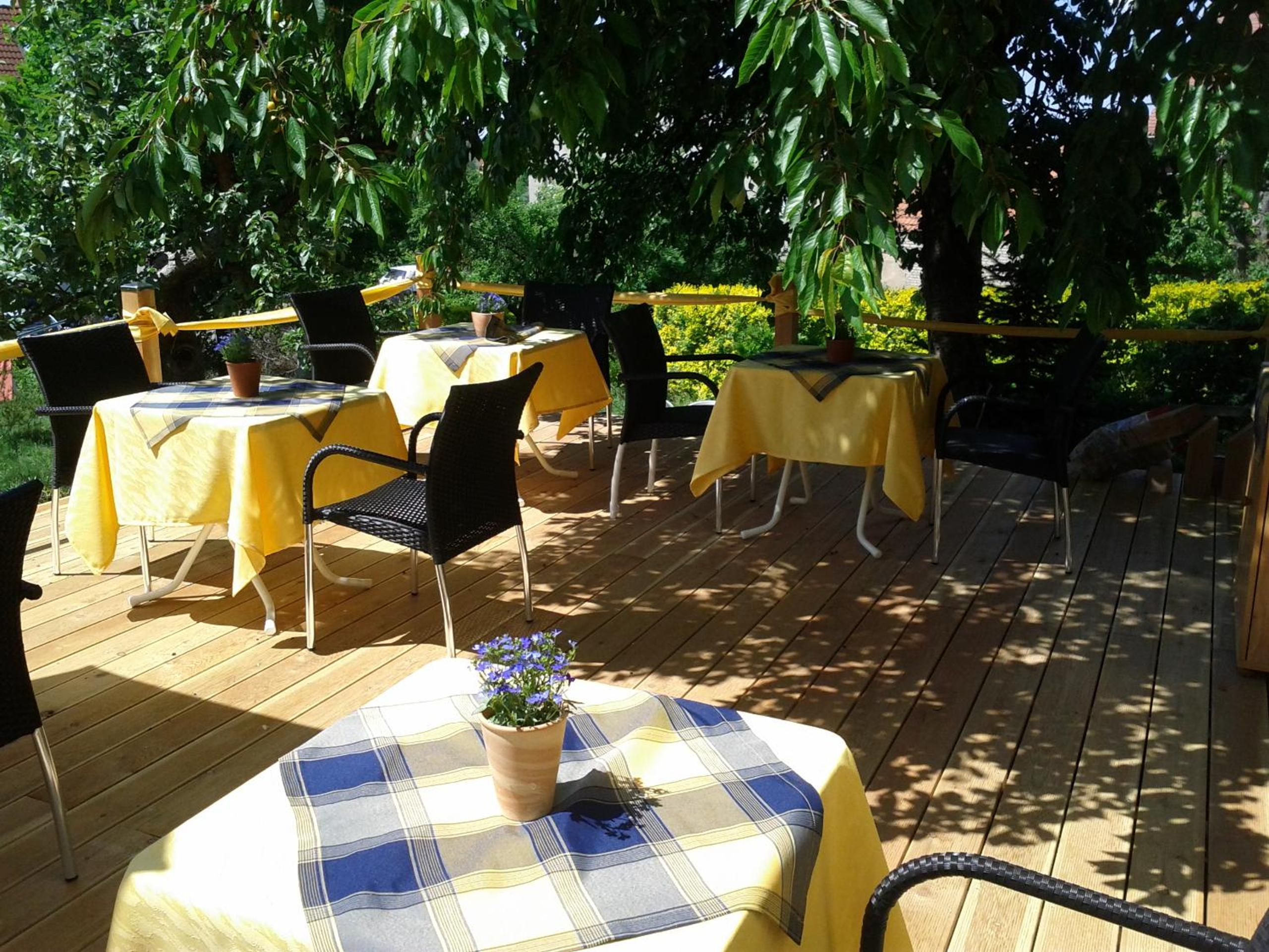 Elbhangzimmer Dresden