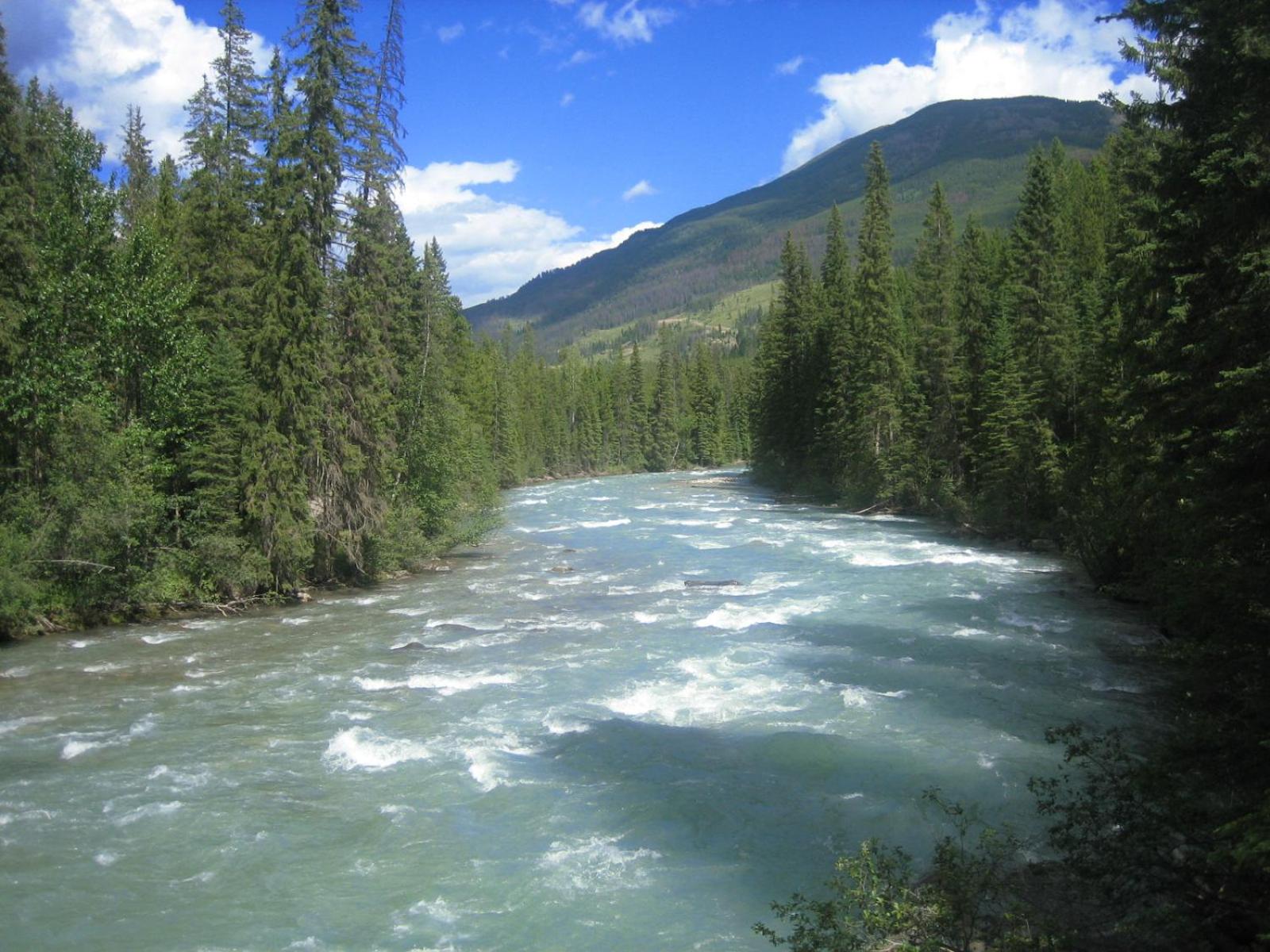 Panorama Mountain Resort - Horsethief Lodge with Fairmont Creek