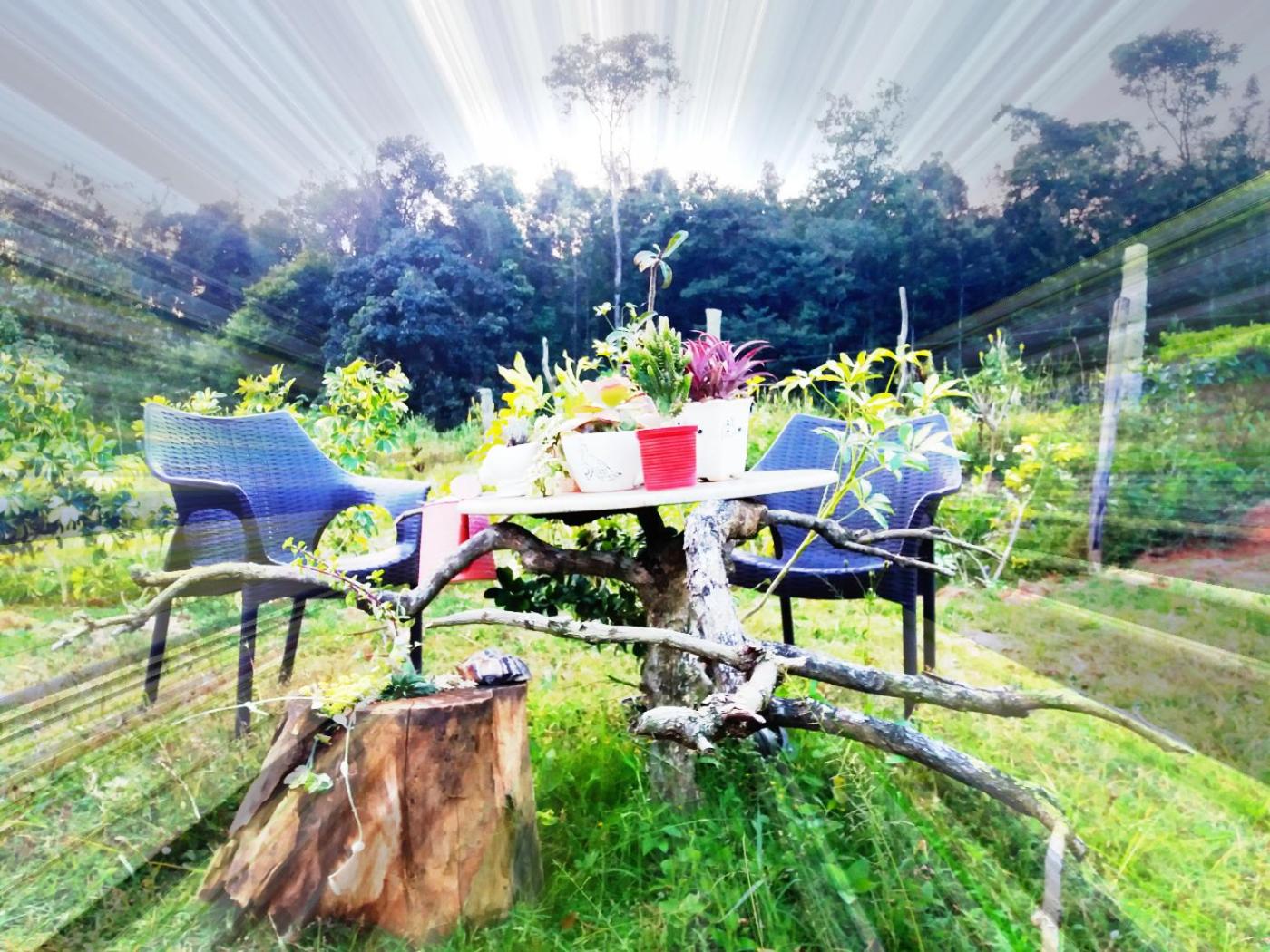 SilverShine Homestay