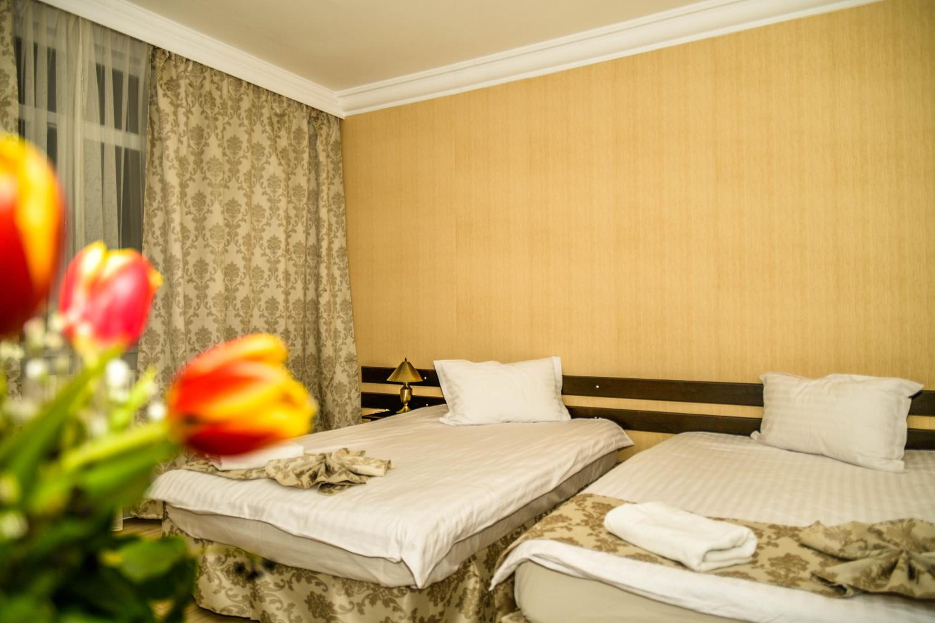 Hotel Elisabeta