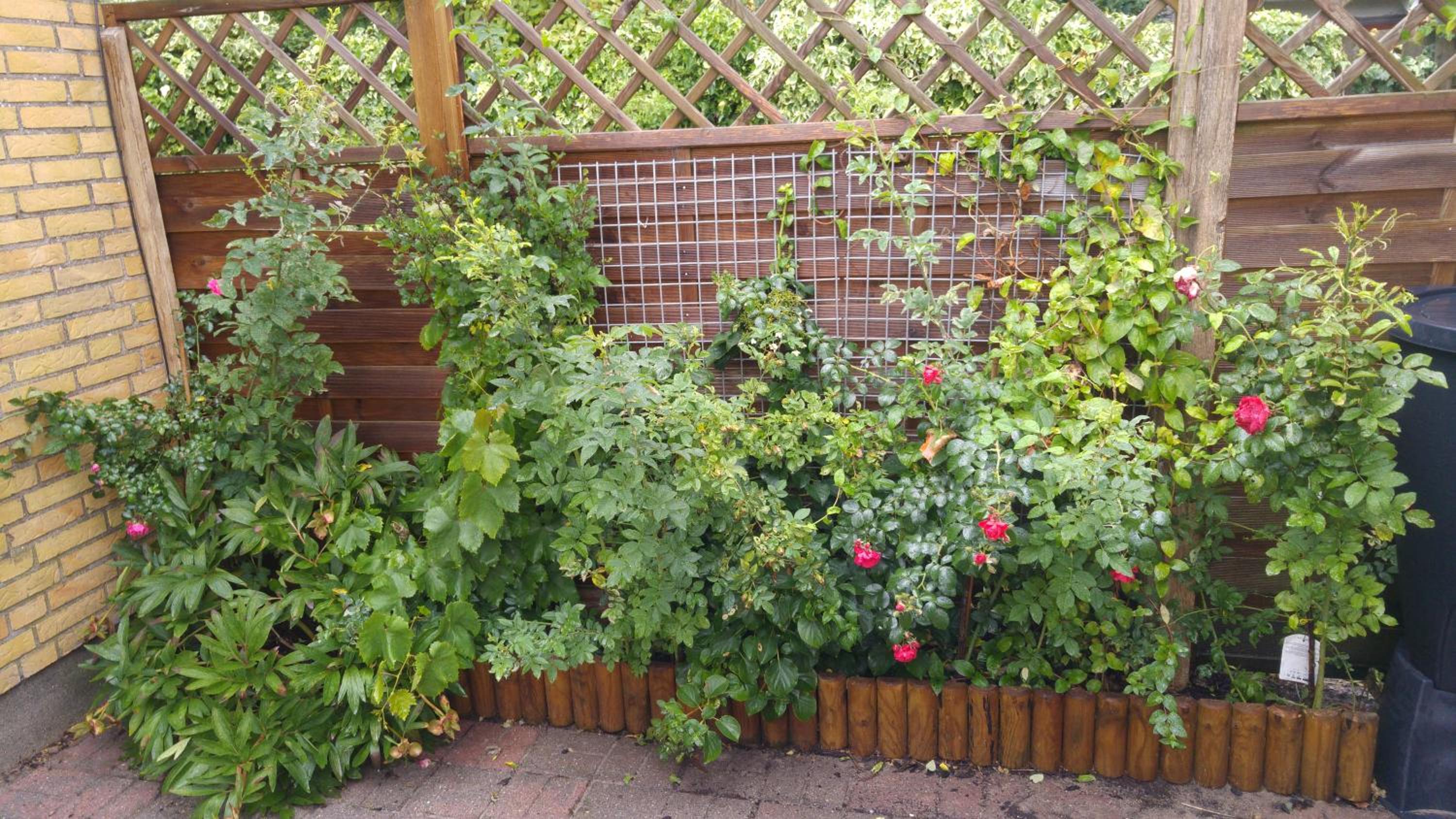 Photo 20