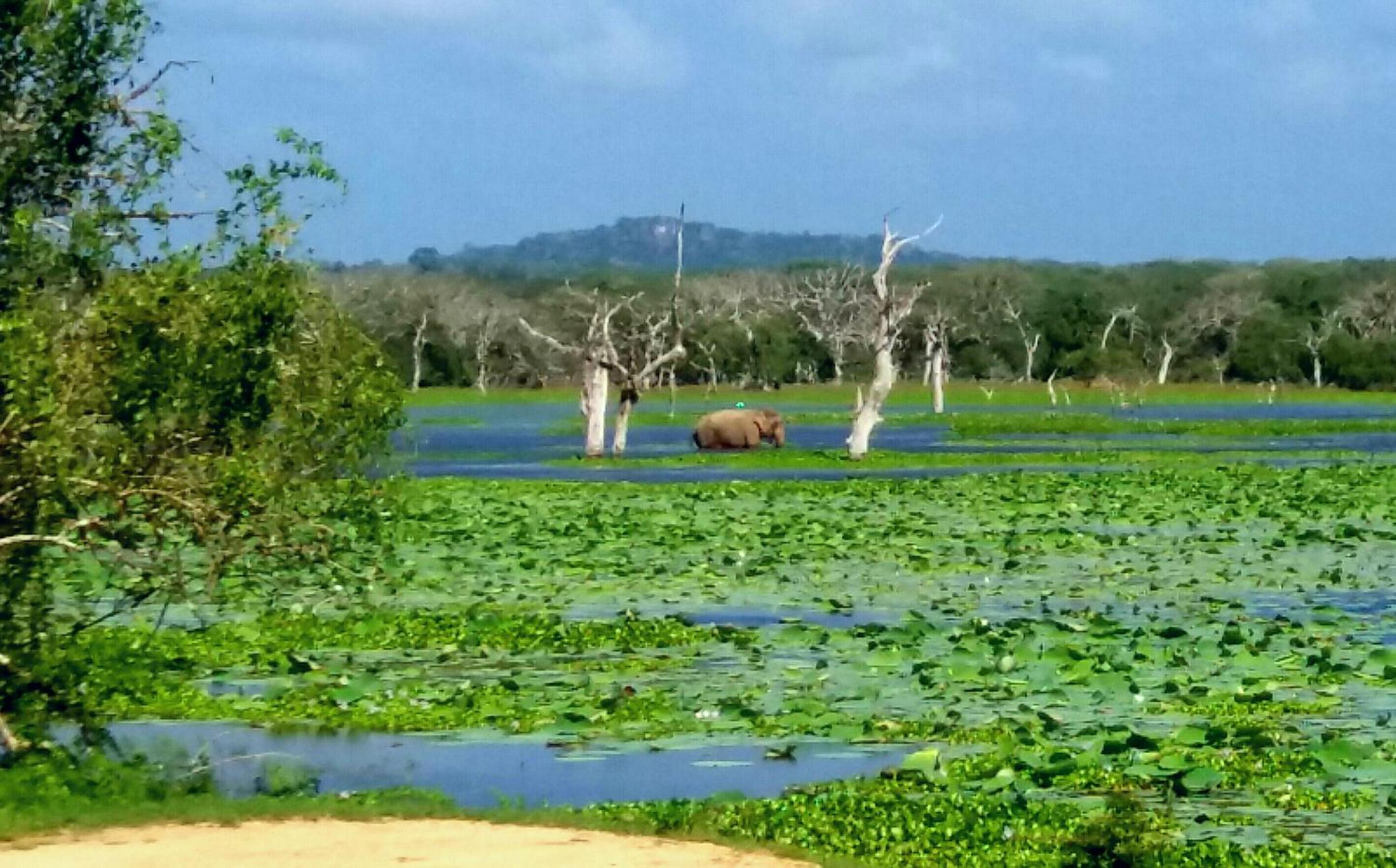 Amawin Resort