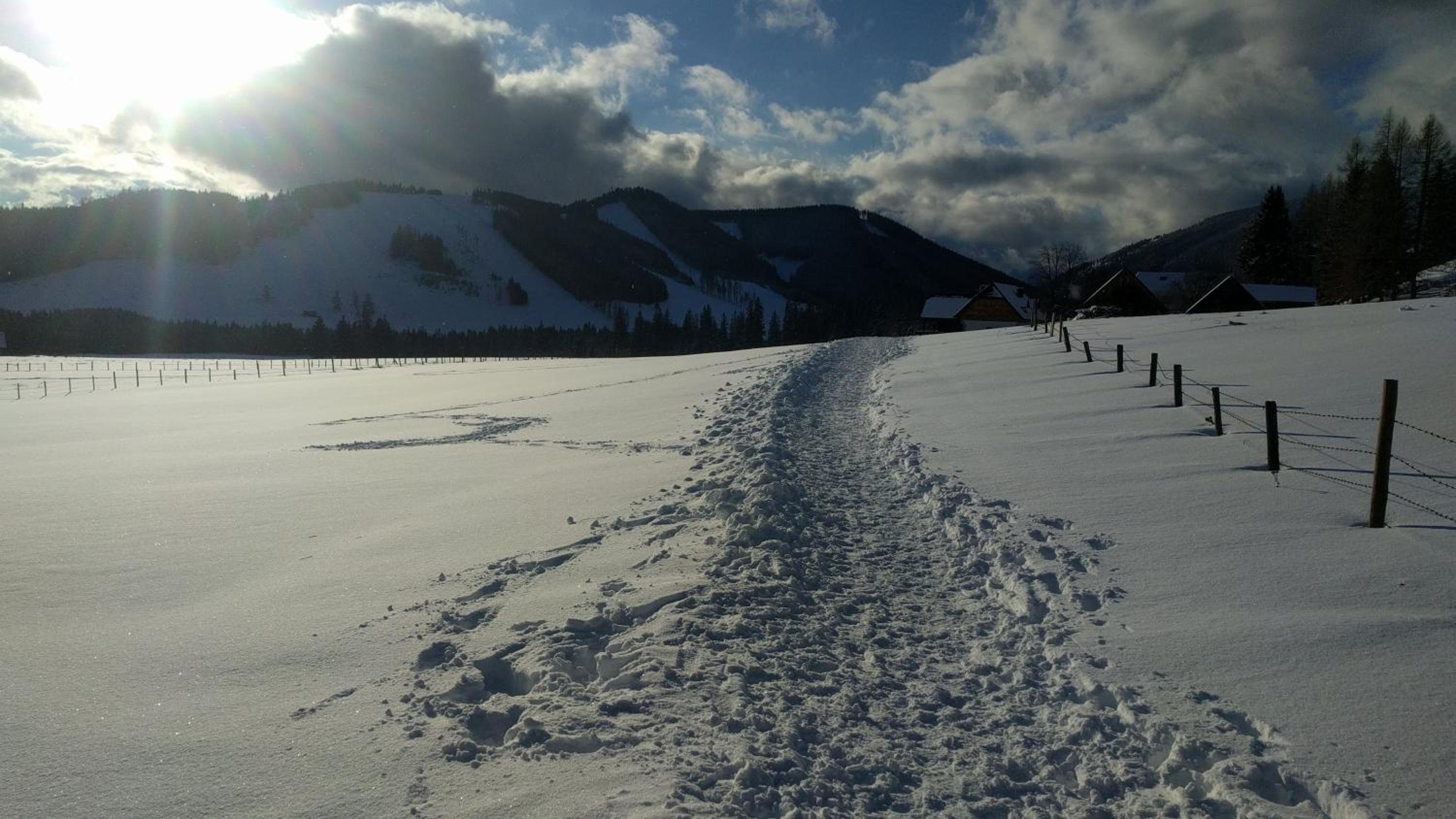 Heidi's Schlummerkiste am Fuß der Teichalm