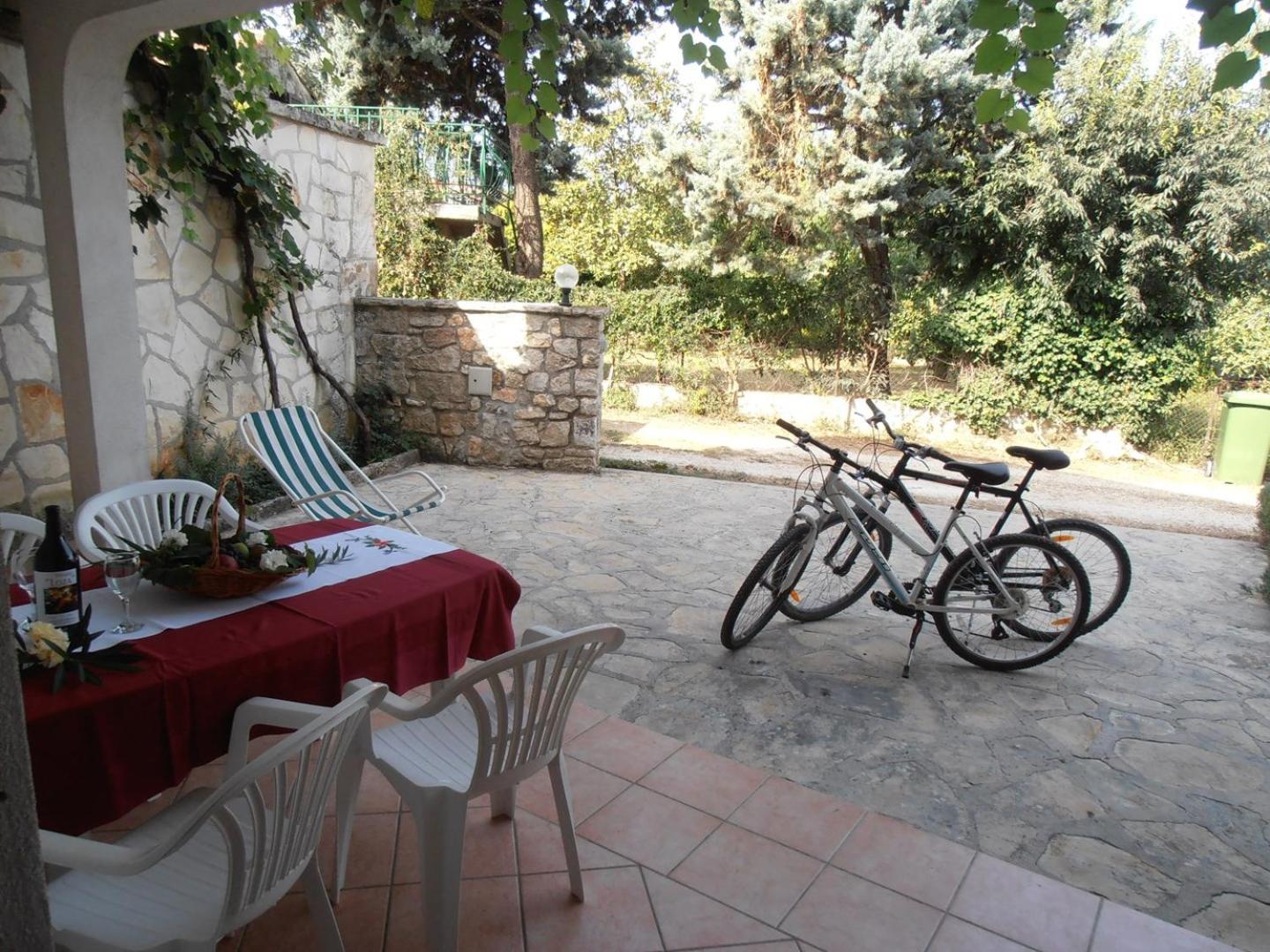 Apartments Coki