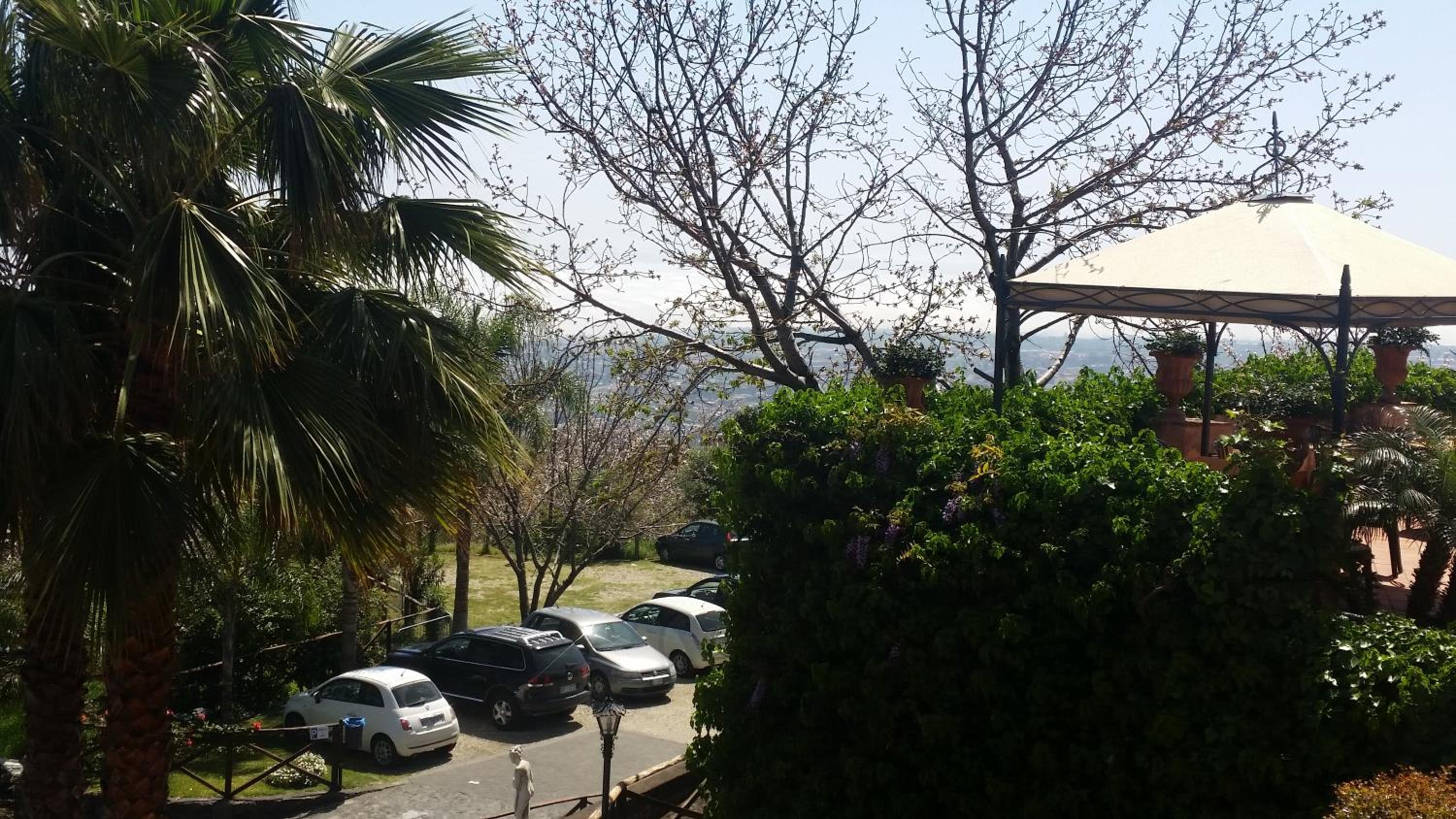 IL Ciliegio Dell 'Etna
