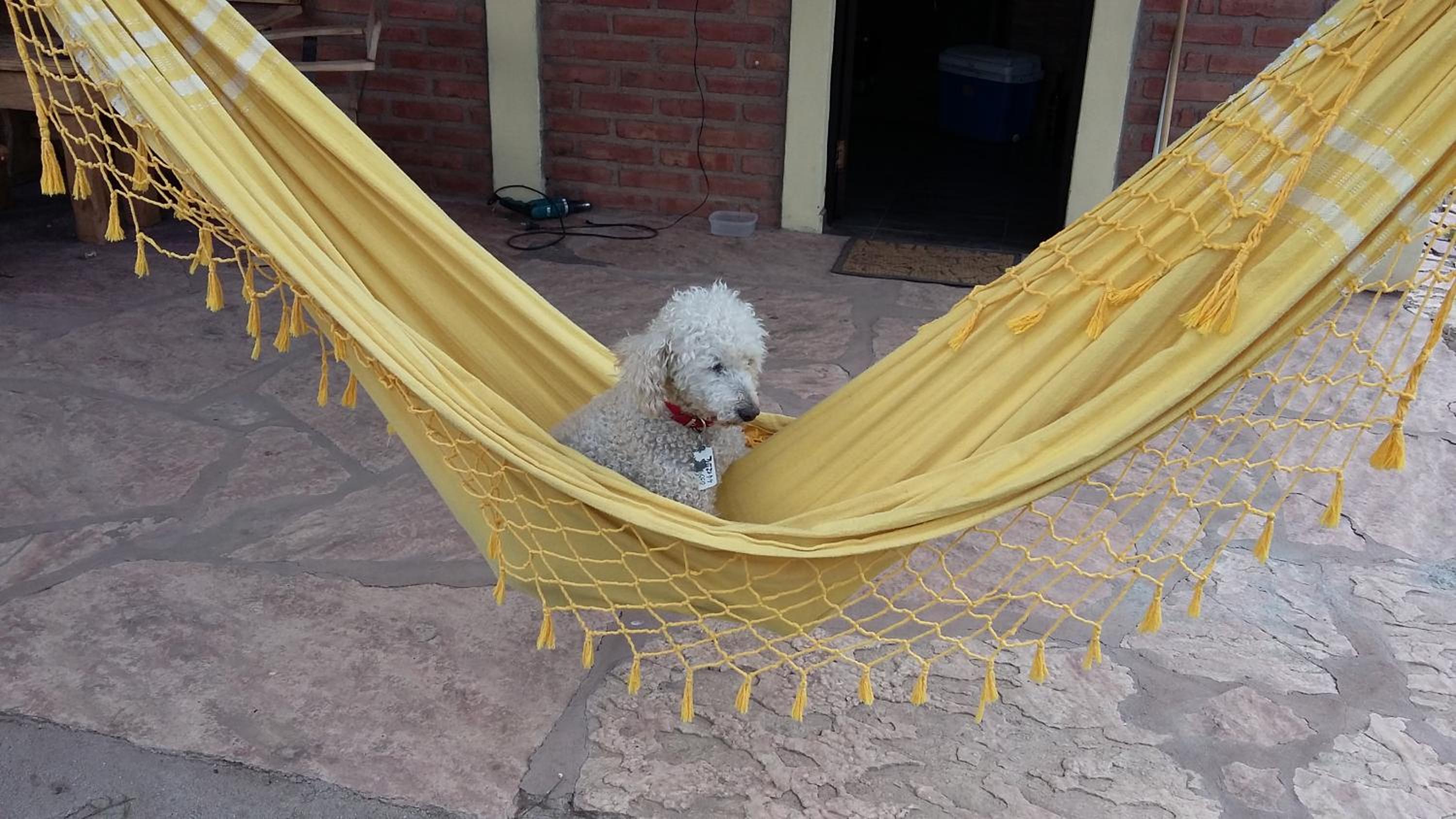 Cabañas El Nonno