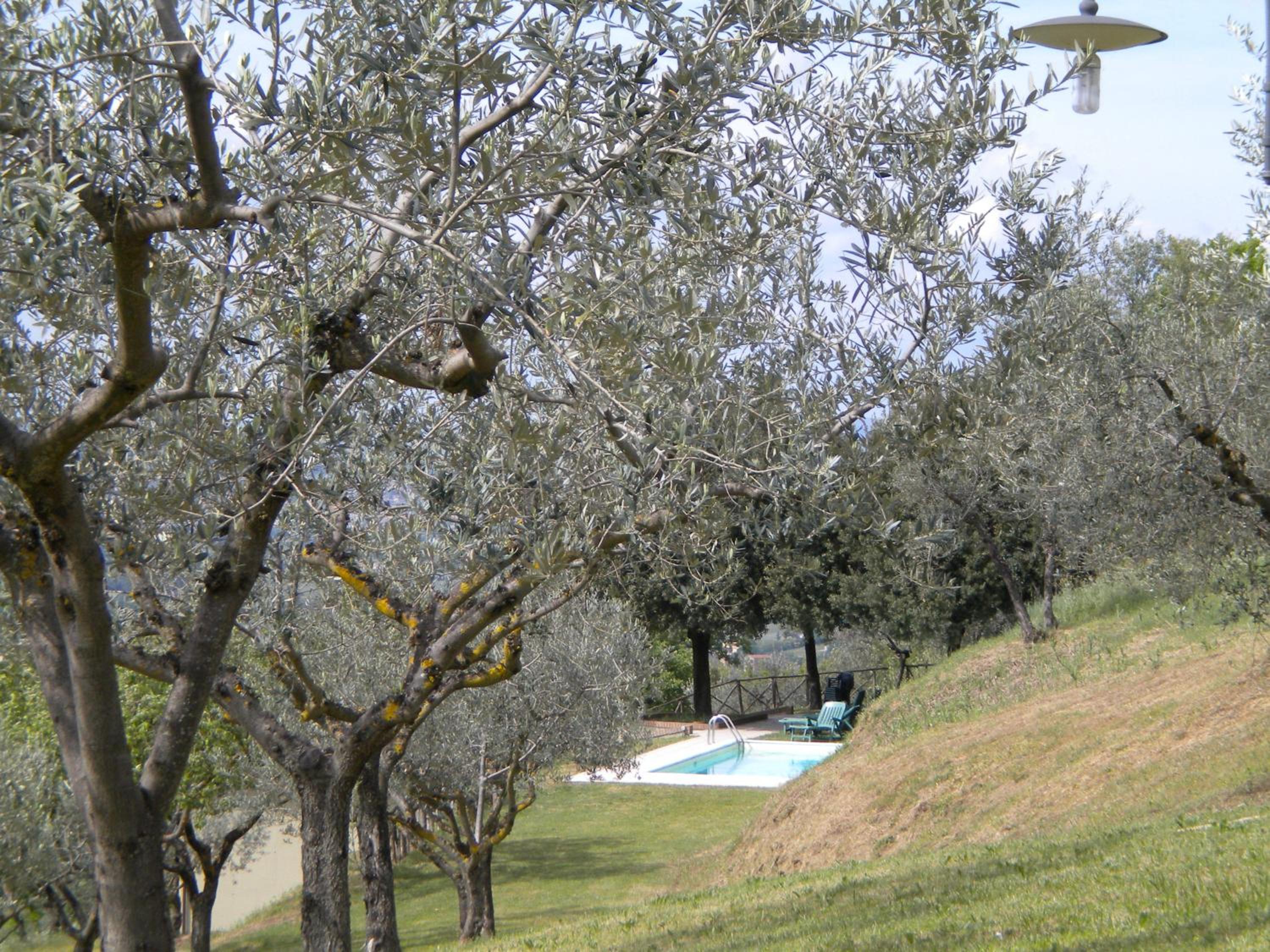 Il Poggio Delle Ginestre