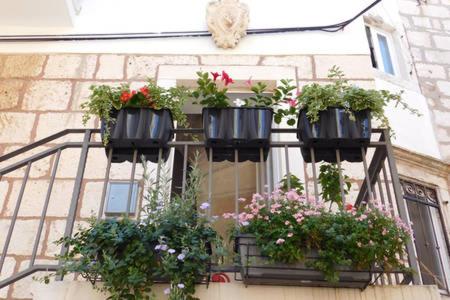 Apartment Punat