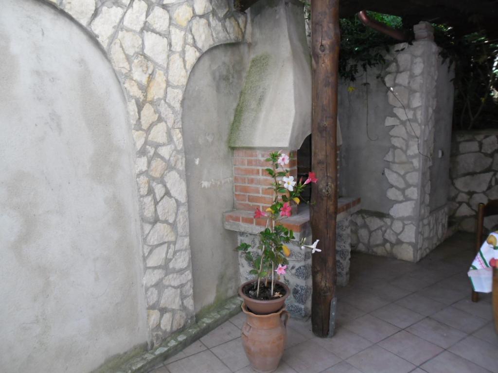 Photo 43