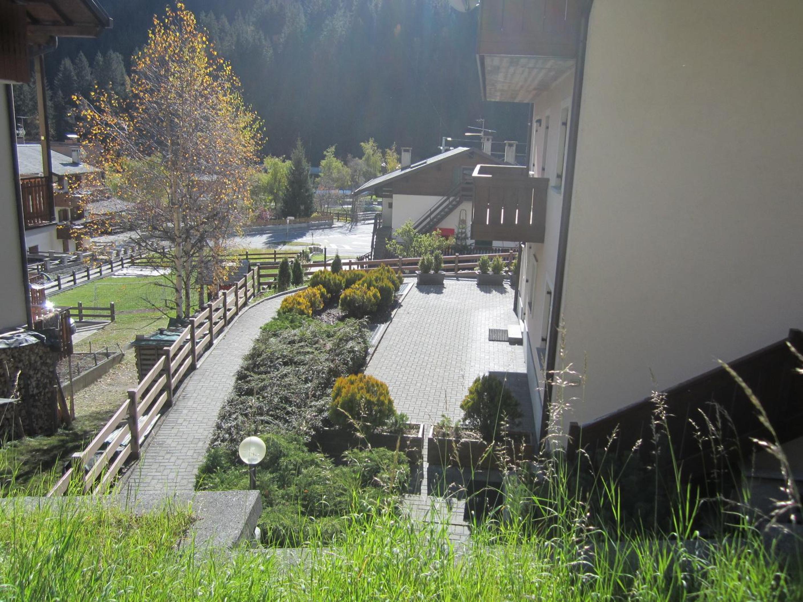 Photo 37