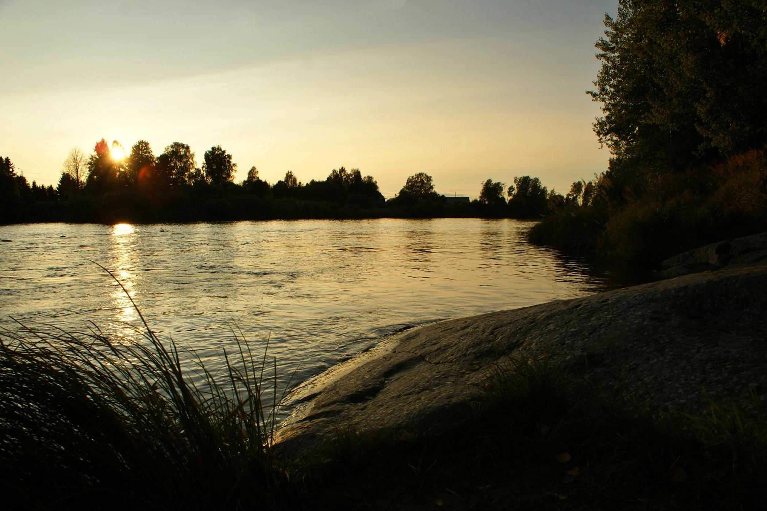 Photo 29