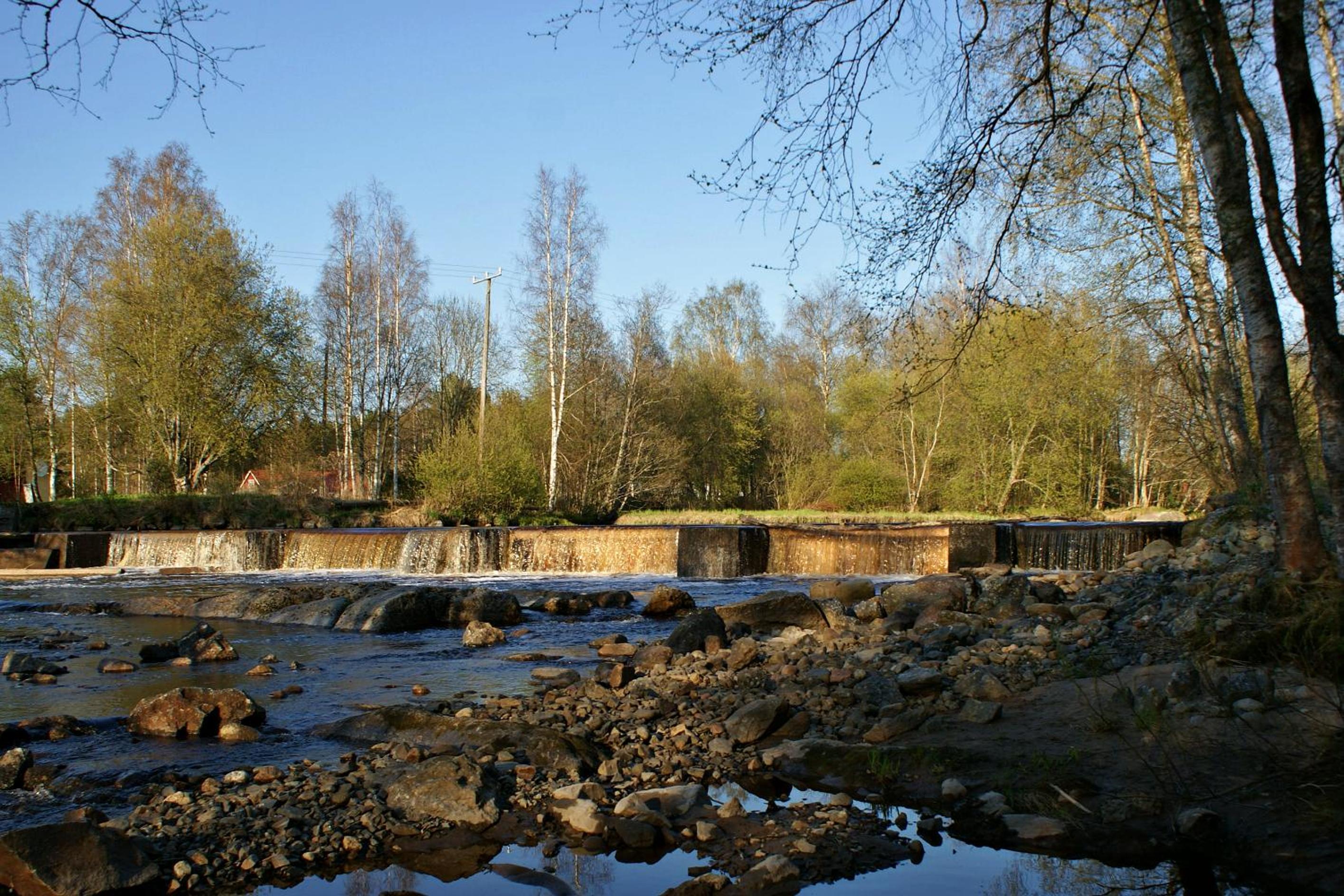 Photo 33