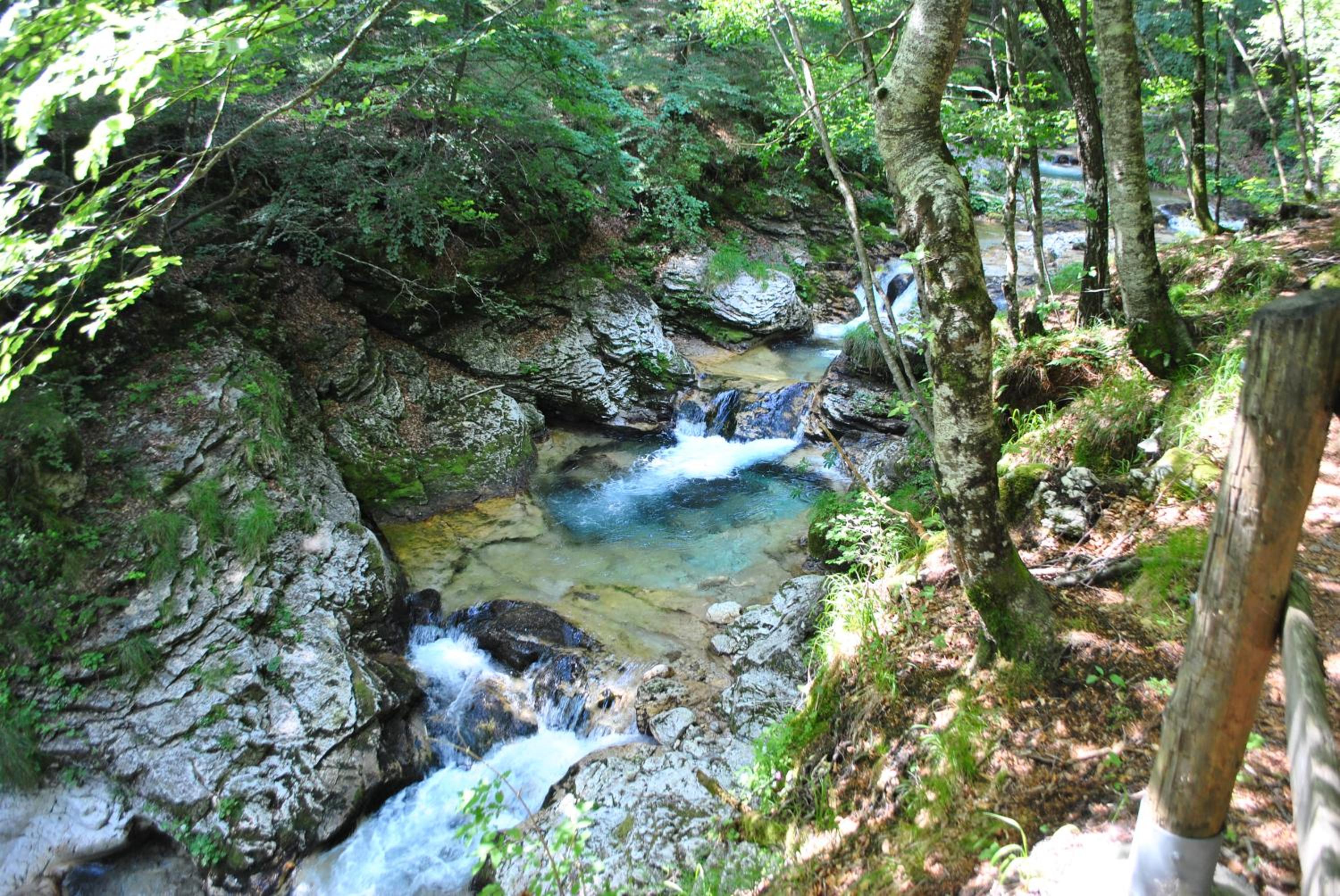 Photo 40
