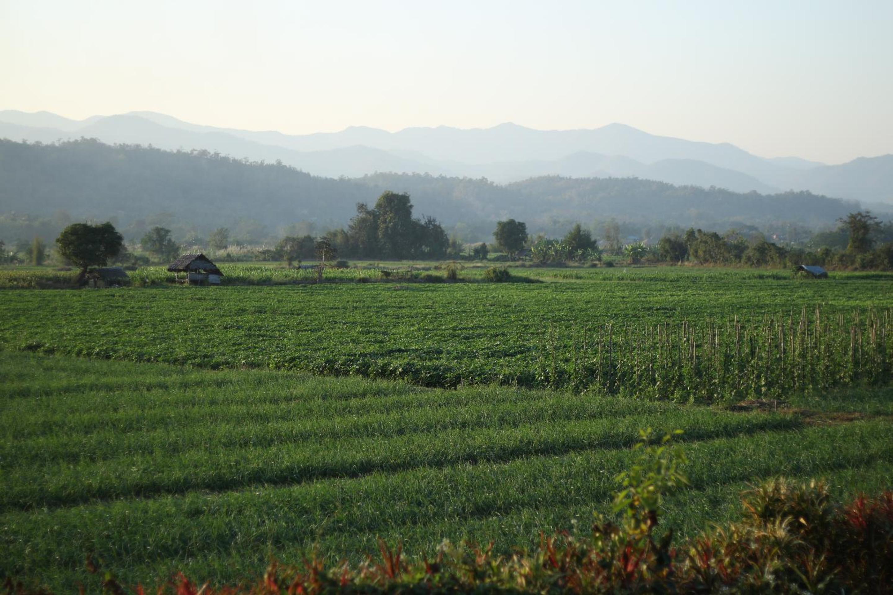 Baan Khue Wieng Resort