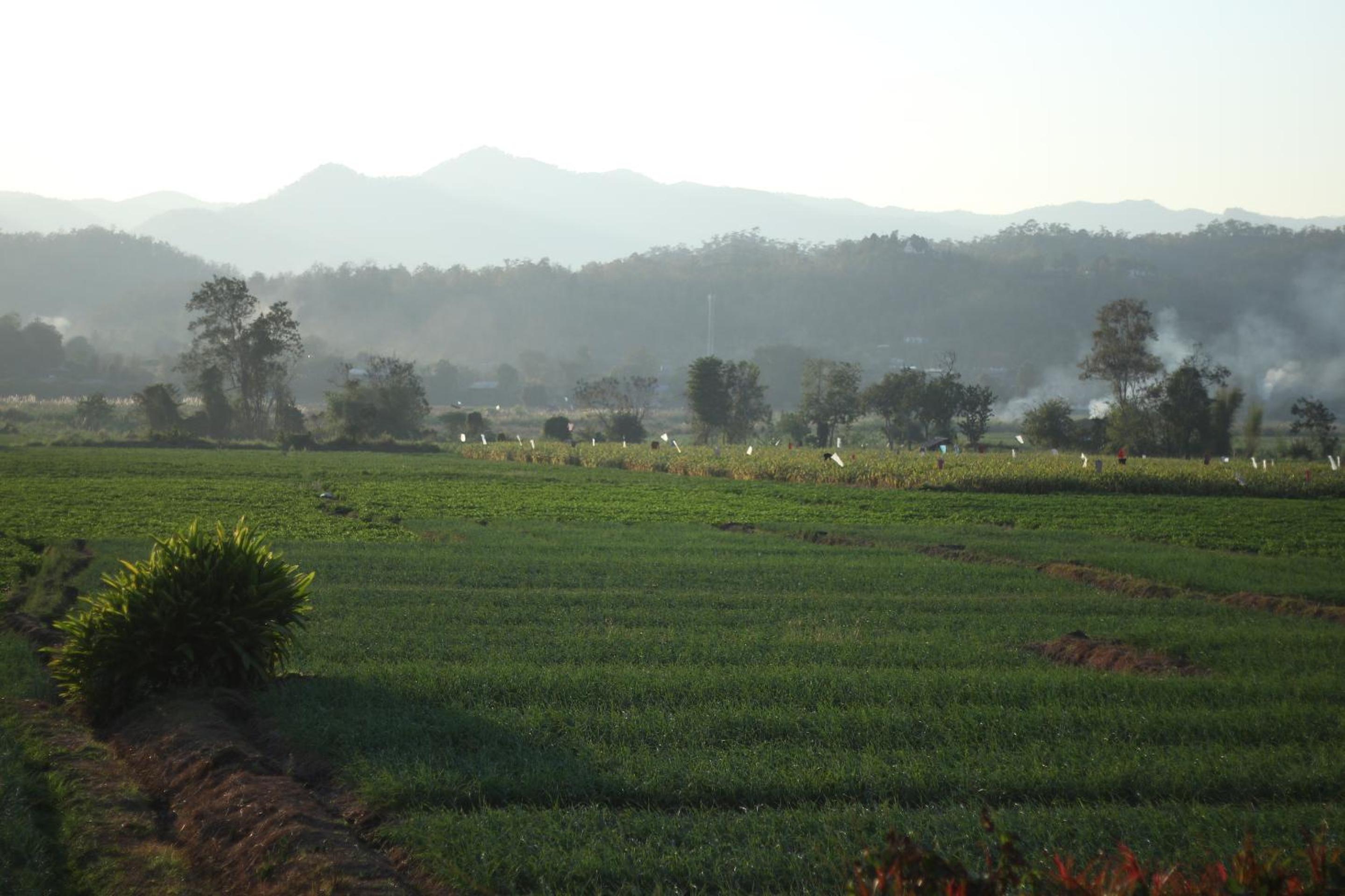 Baan Khue Wieng Resort