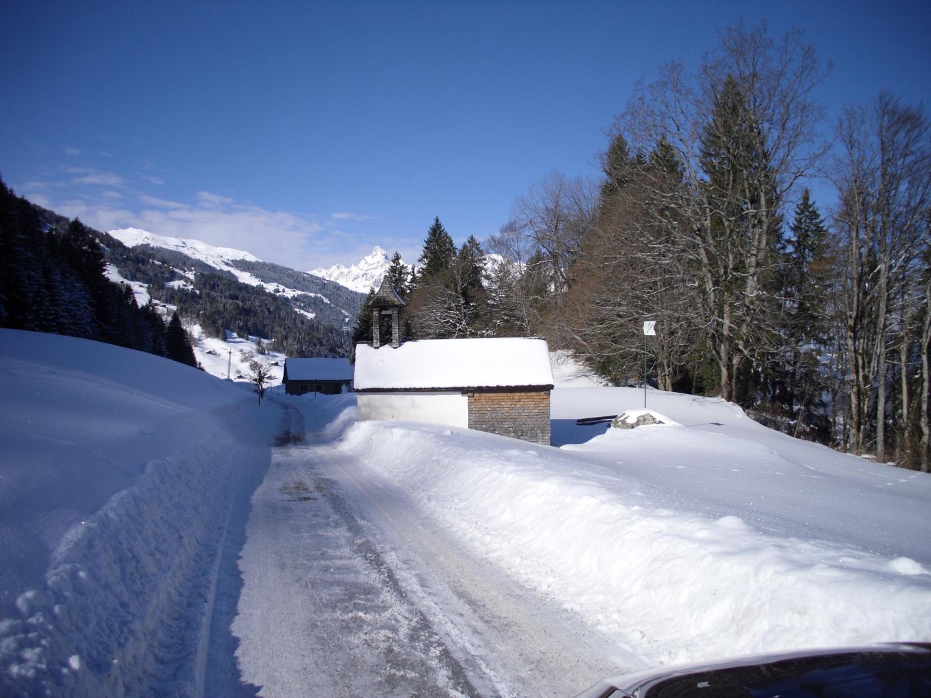 Maisäß Lifinarblick