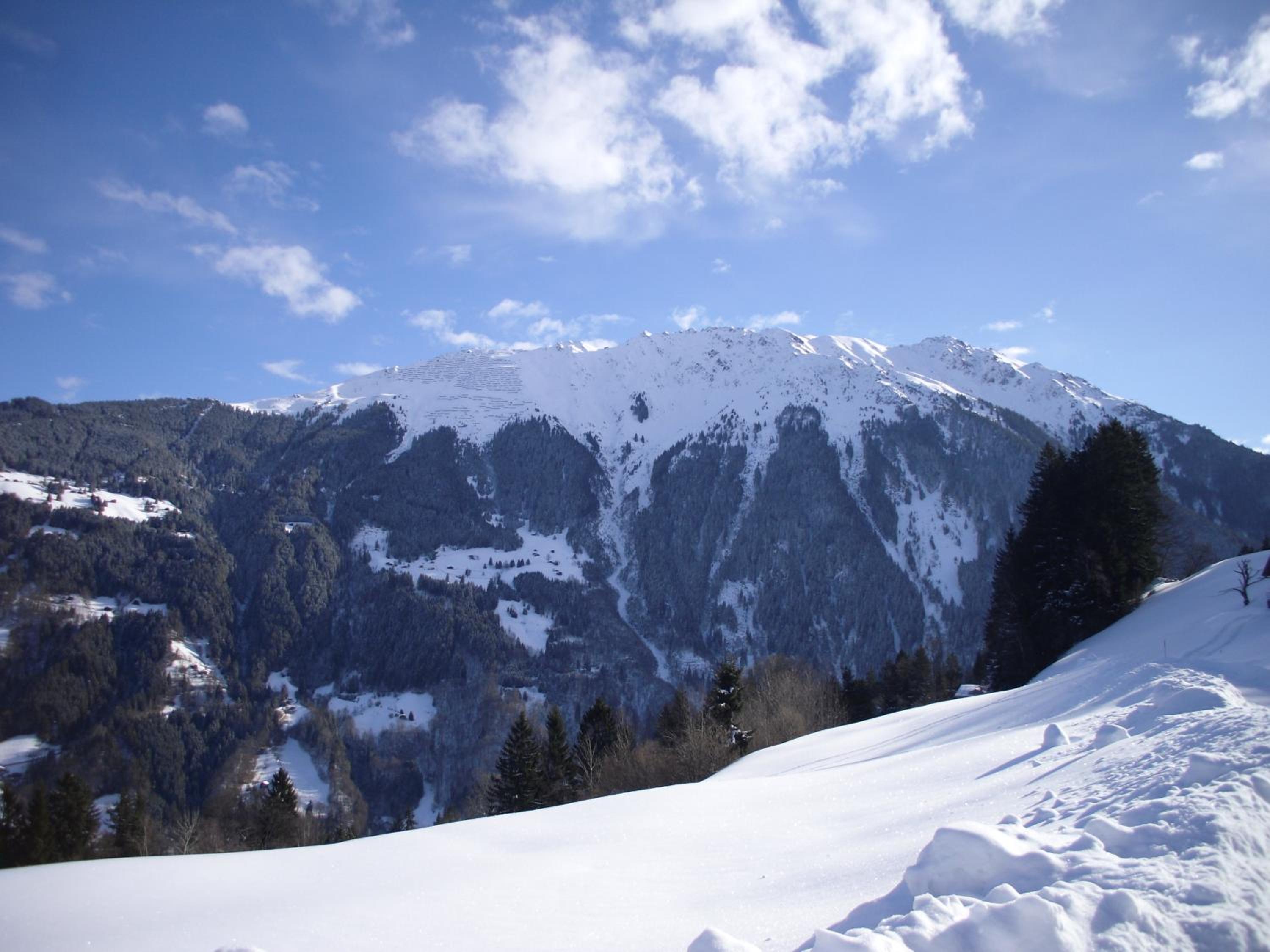 Maisäß Lifinarblick
