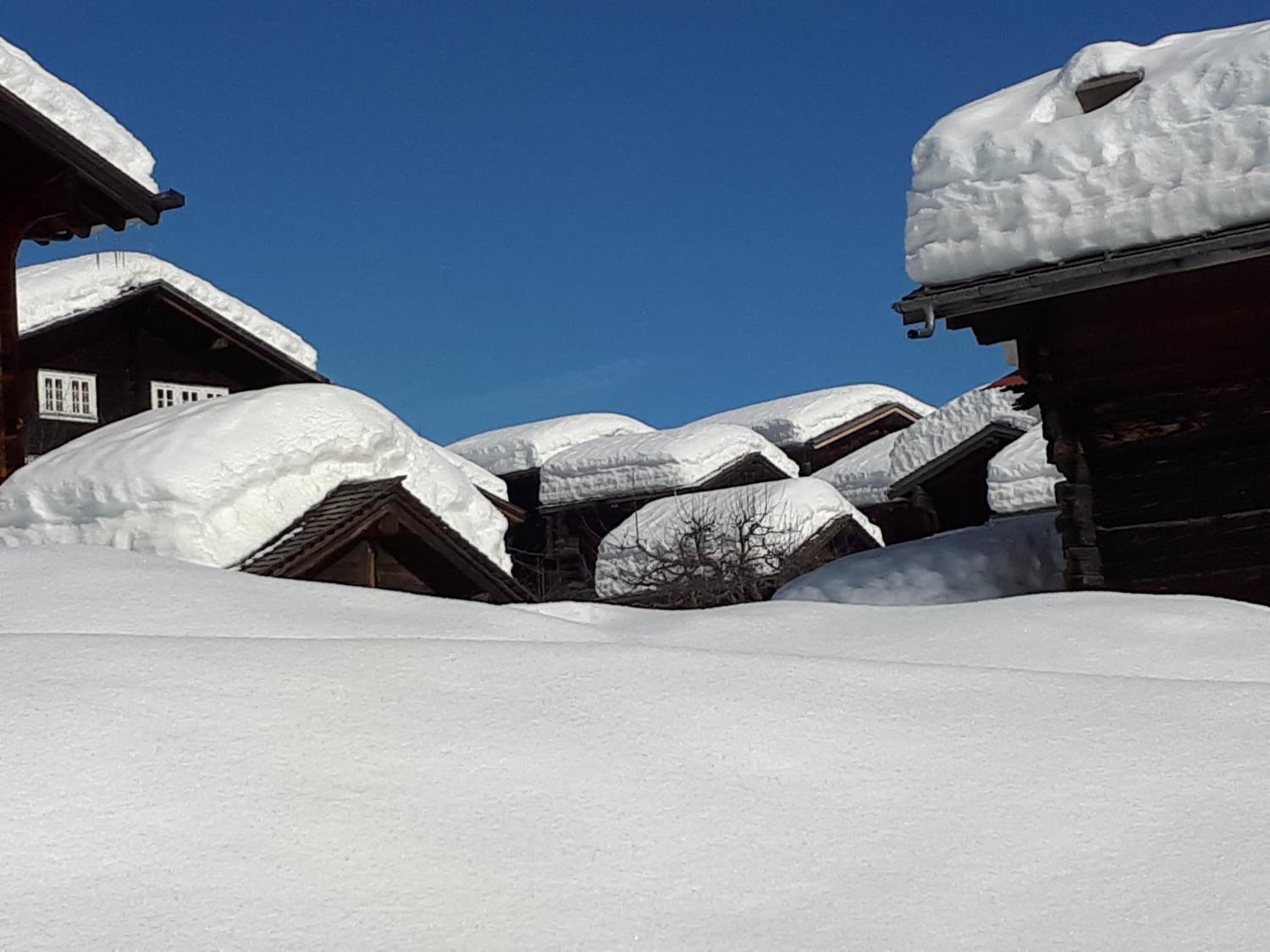 Alpensonne