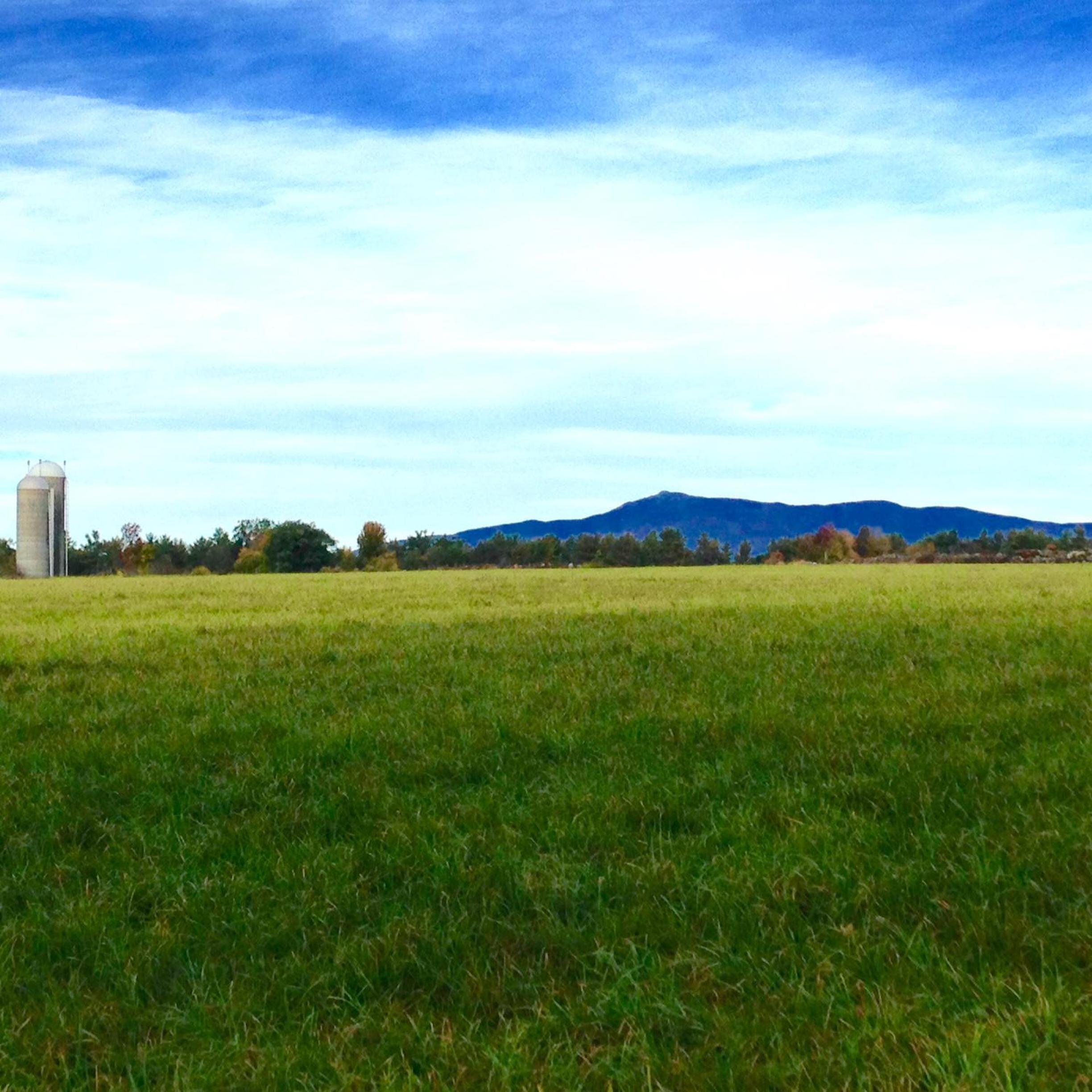 children's play area