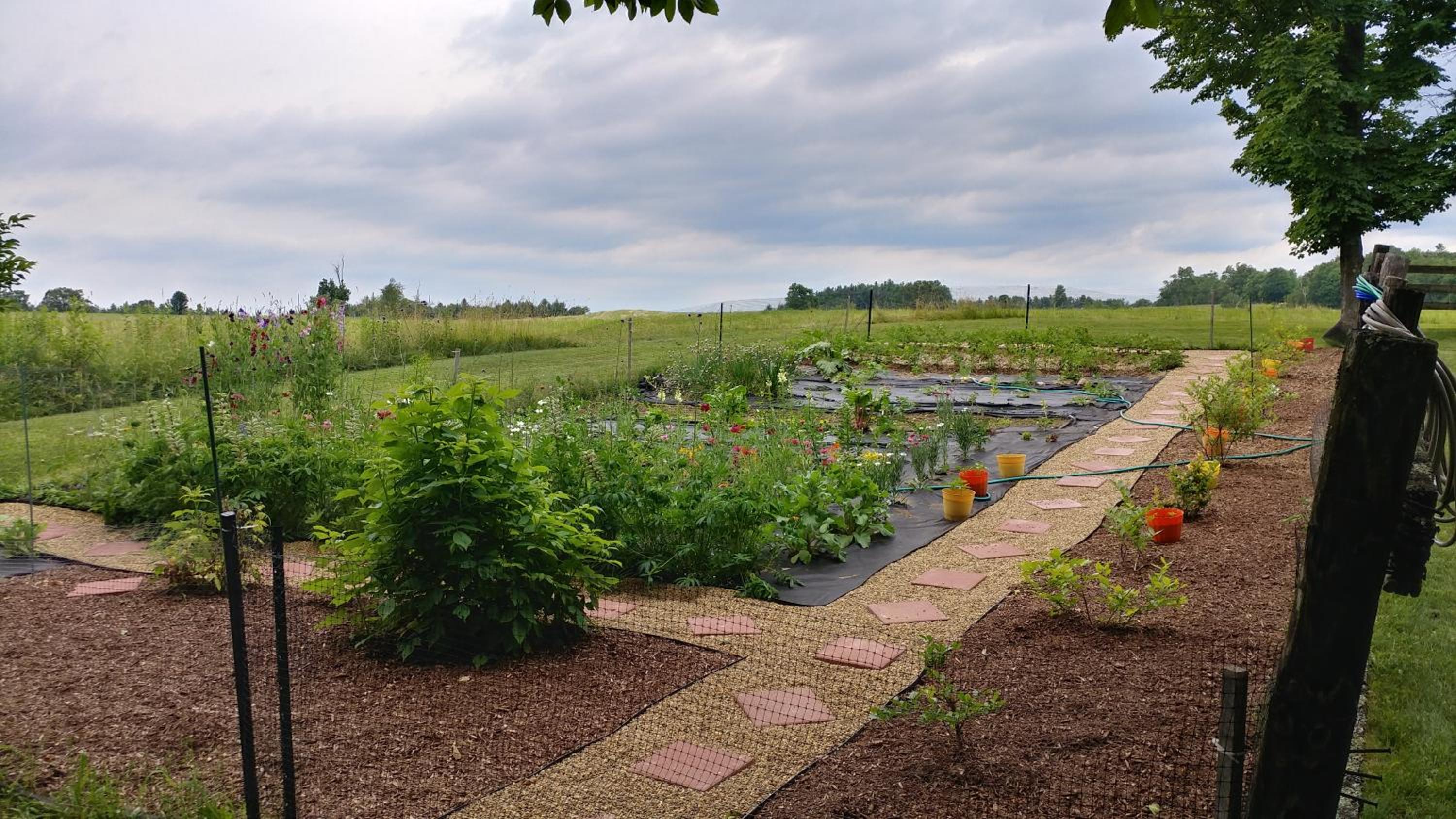garden