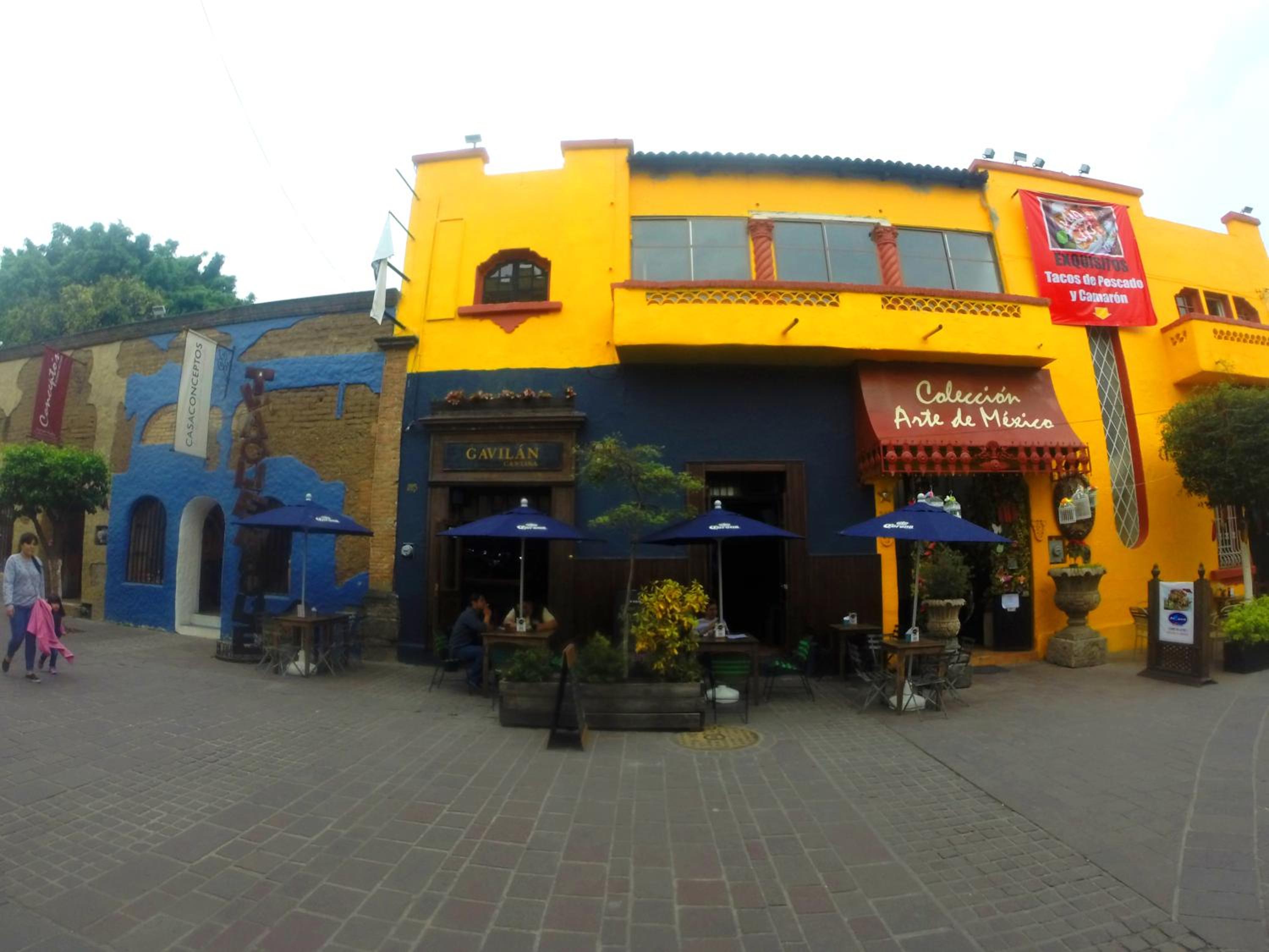 Photo 42