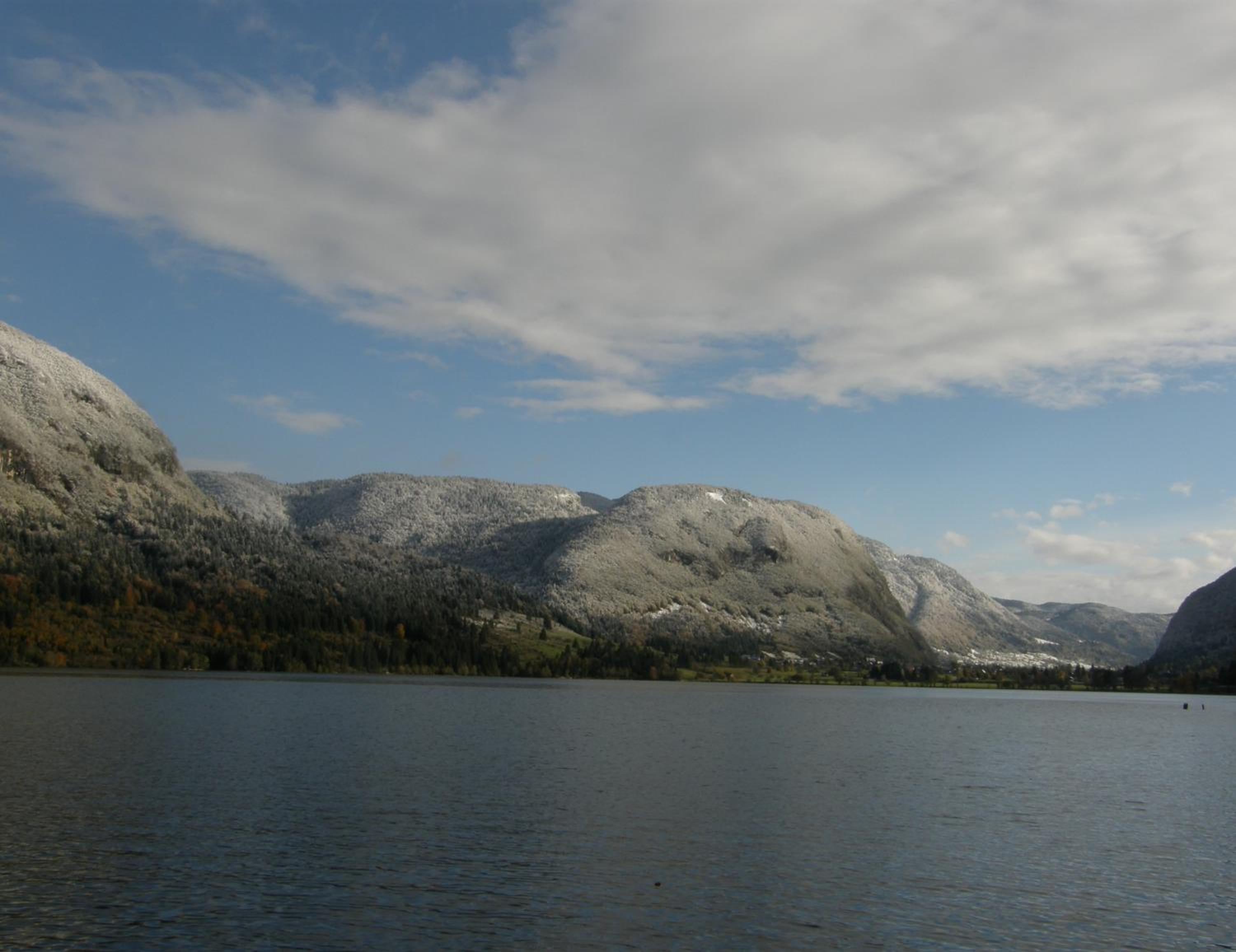 Photo 27