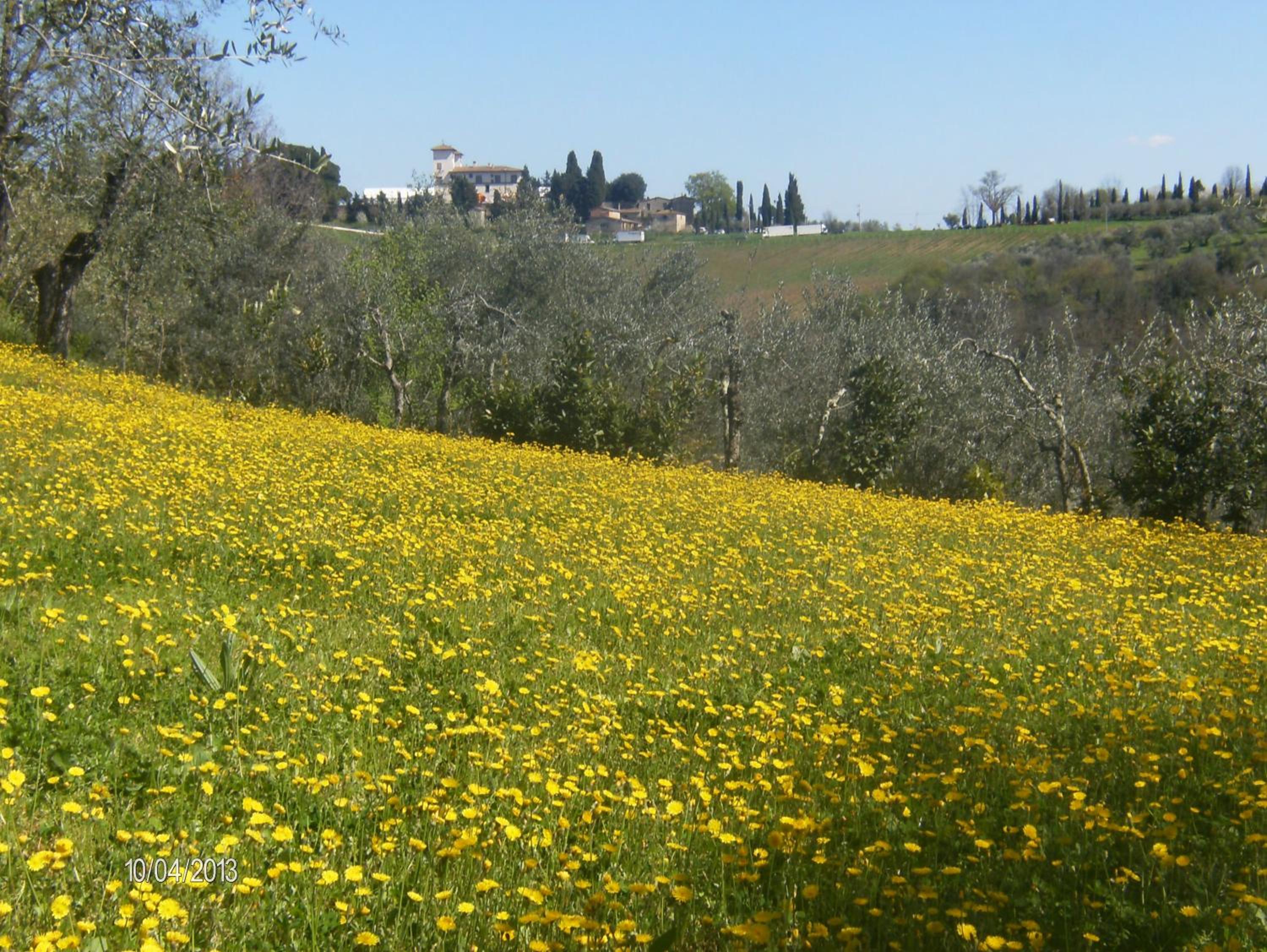 Photo 26