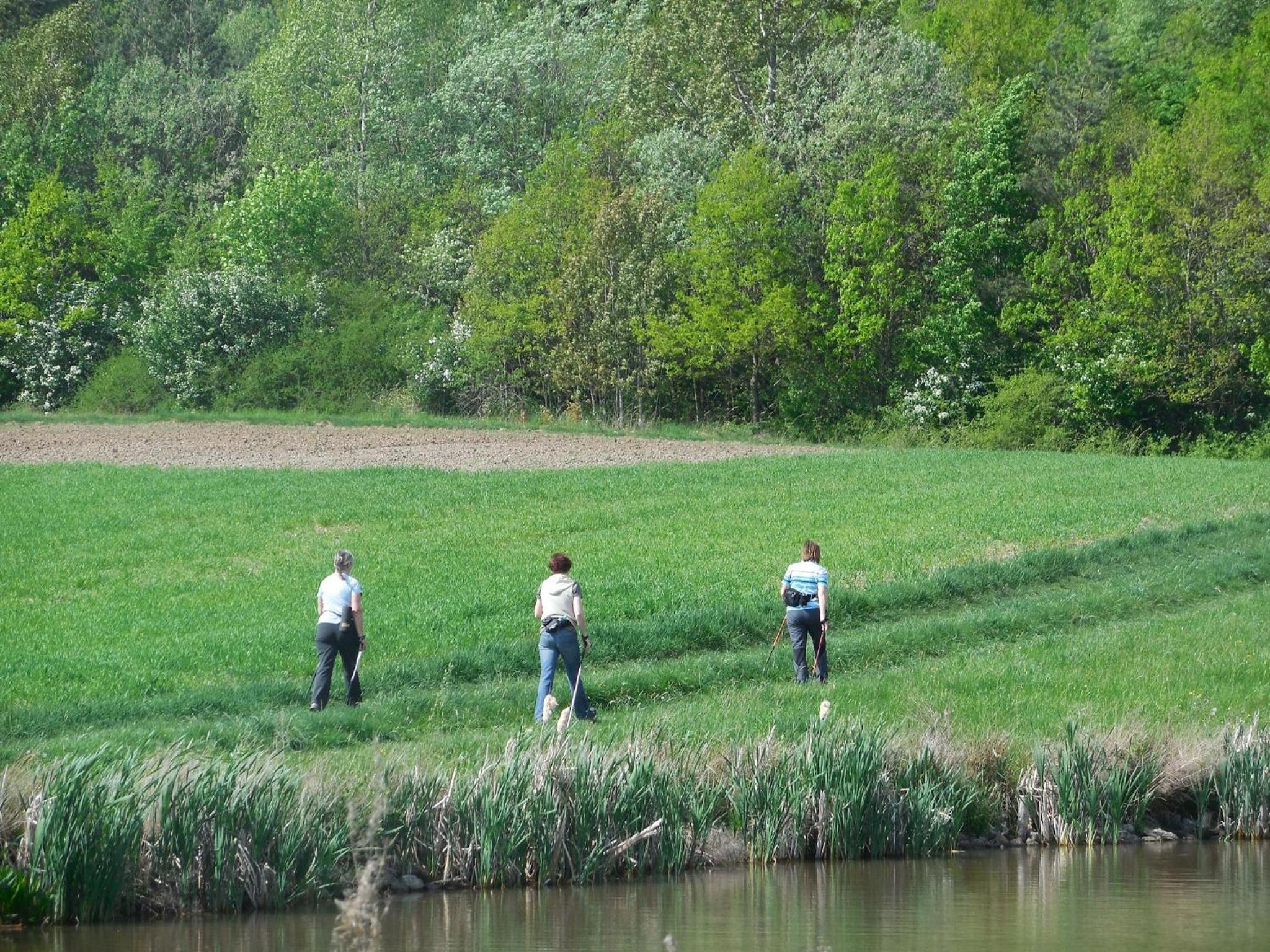Photo 40