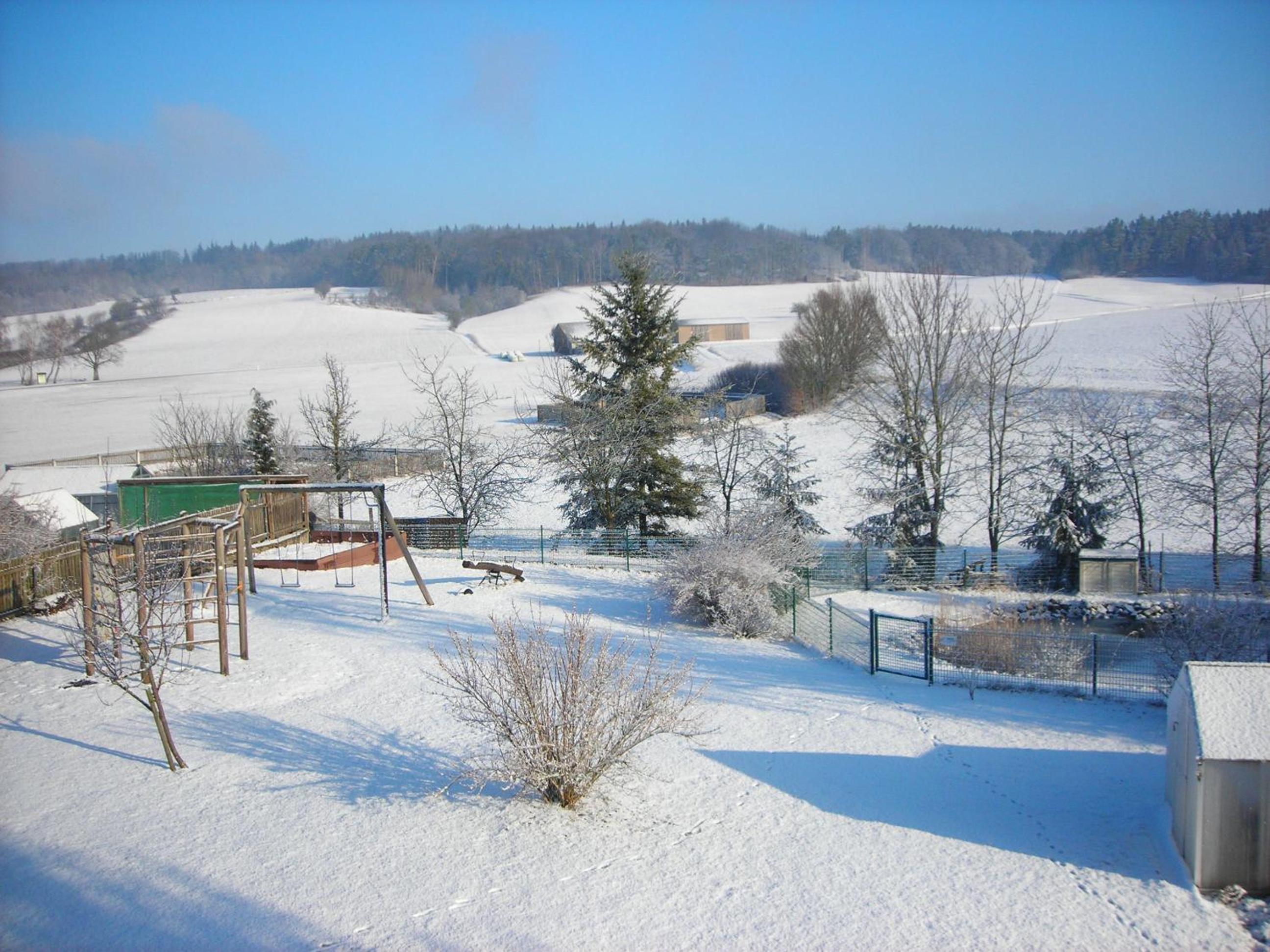 Photo 44