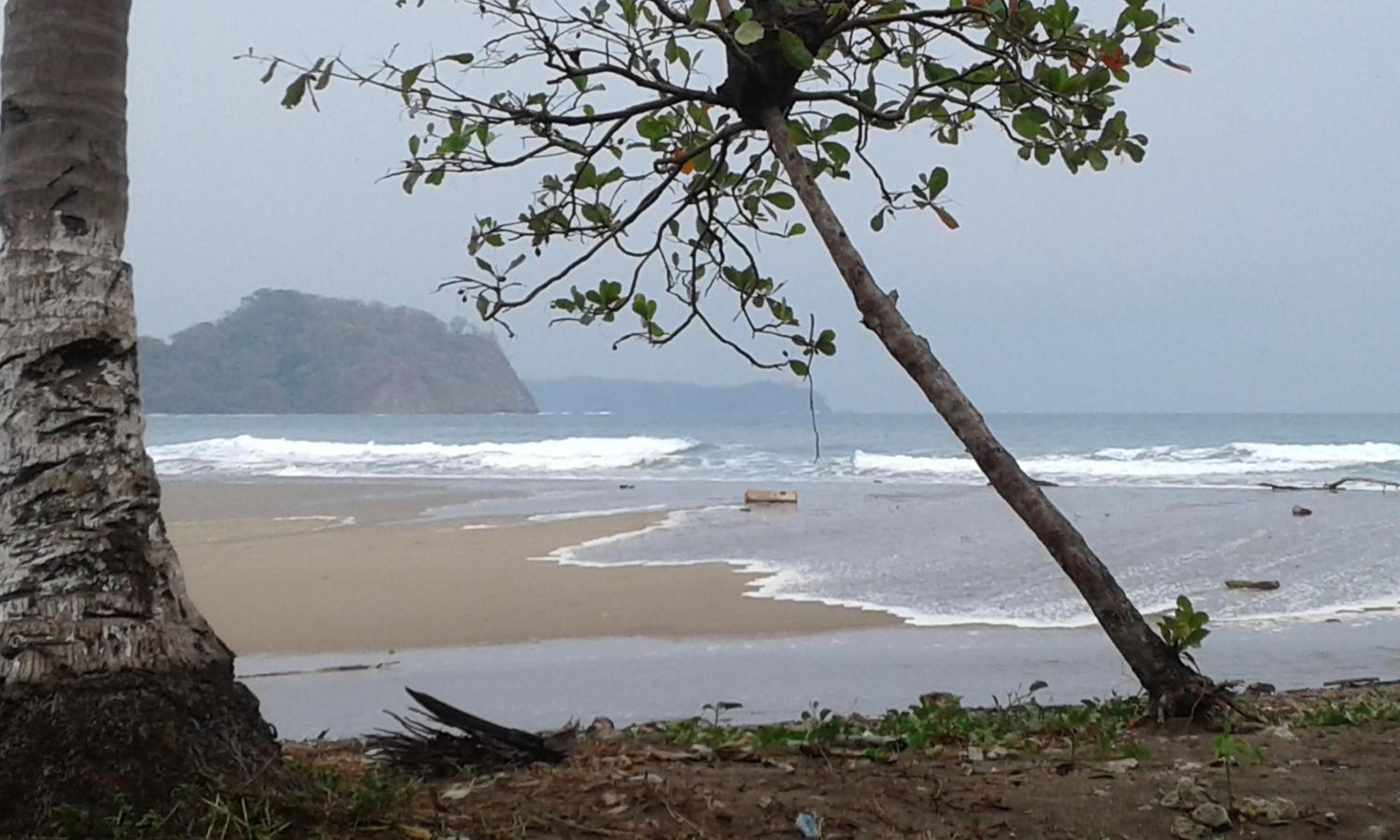 El nido rojo