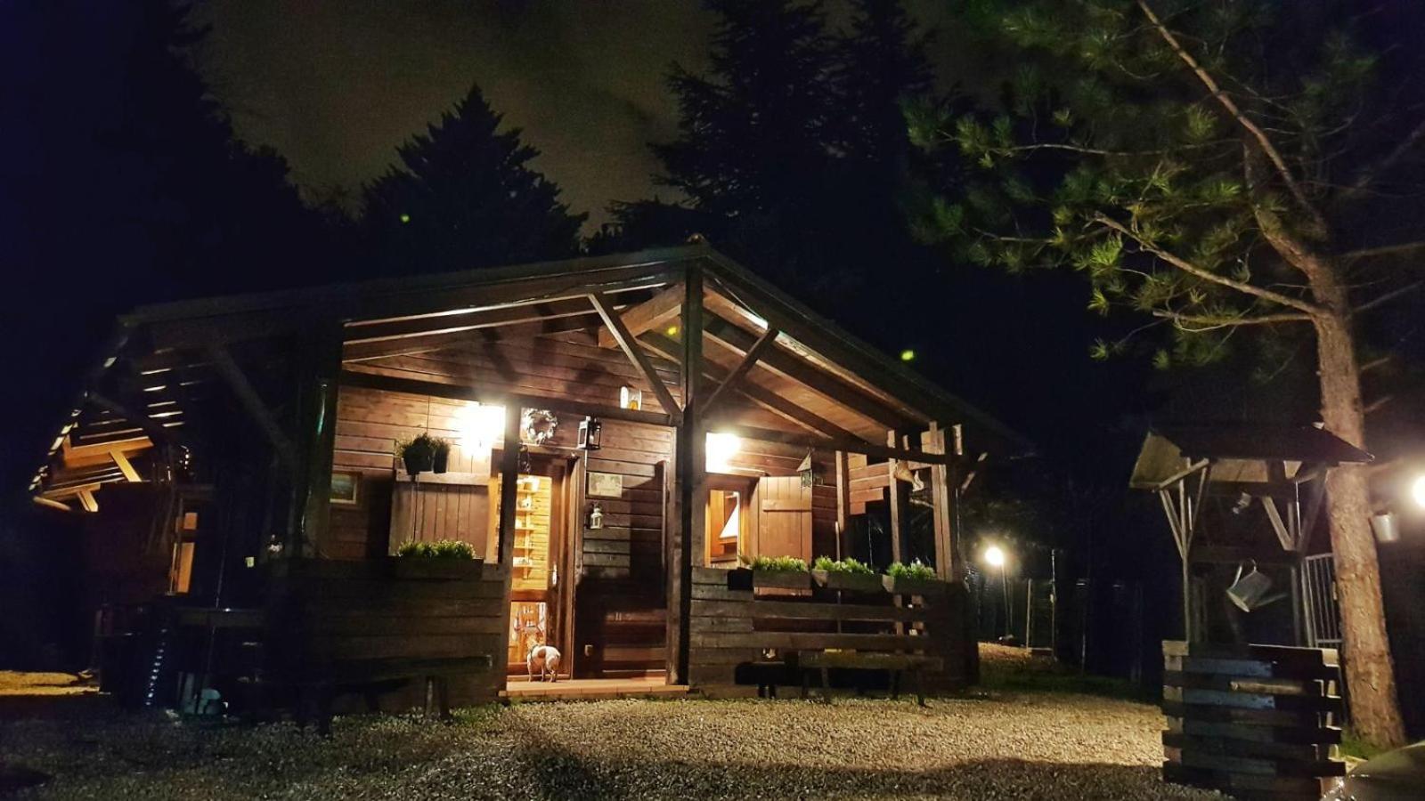 Casa vacanza Chalet Baita Nel Bosco view 3