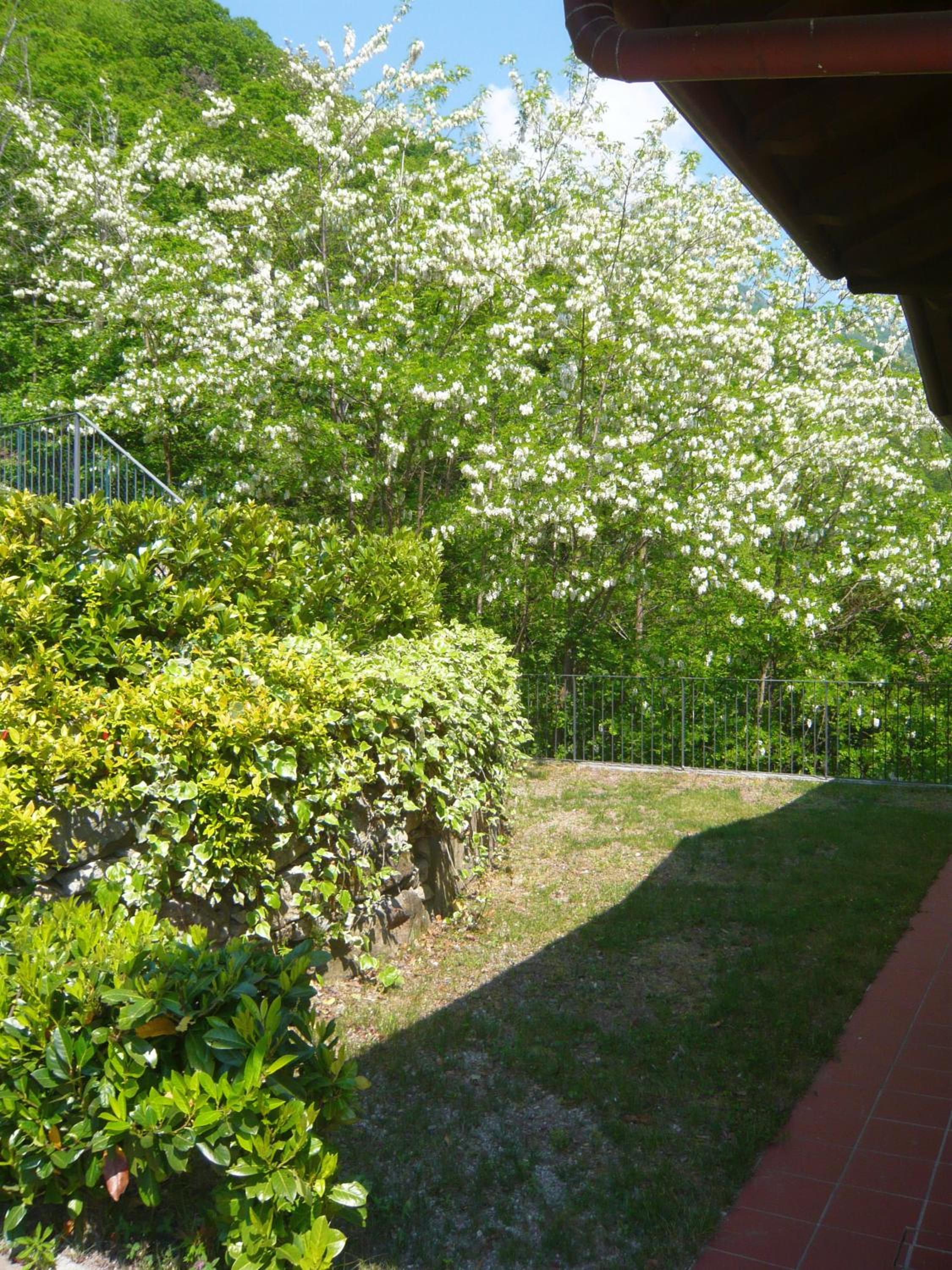 Il Vigneto view 4