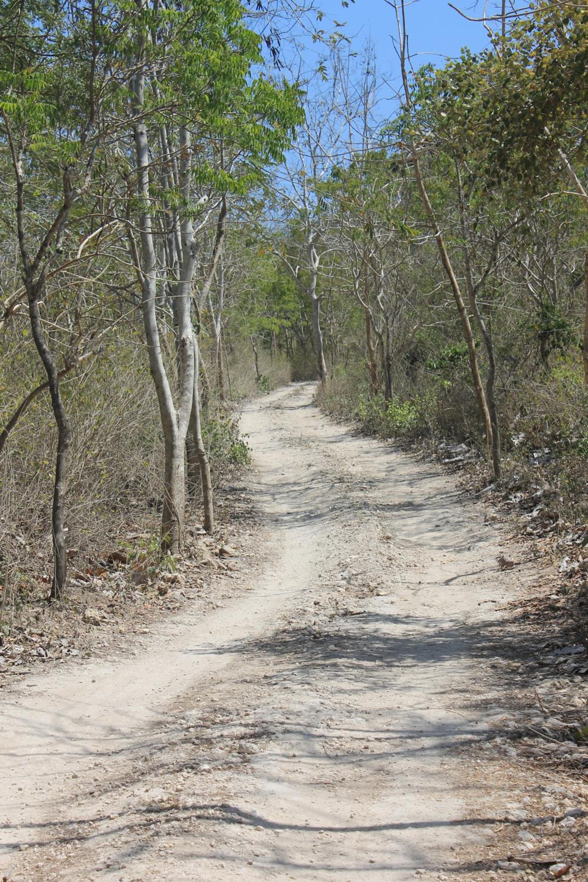 Photo 42
