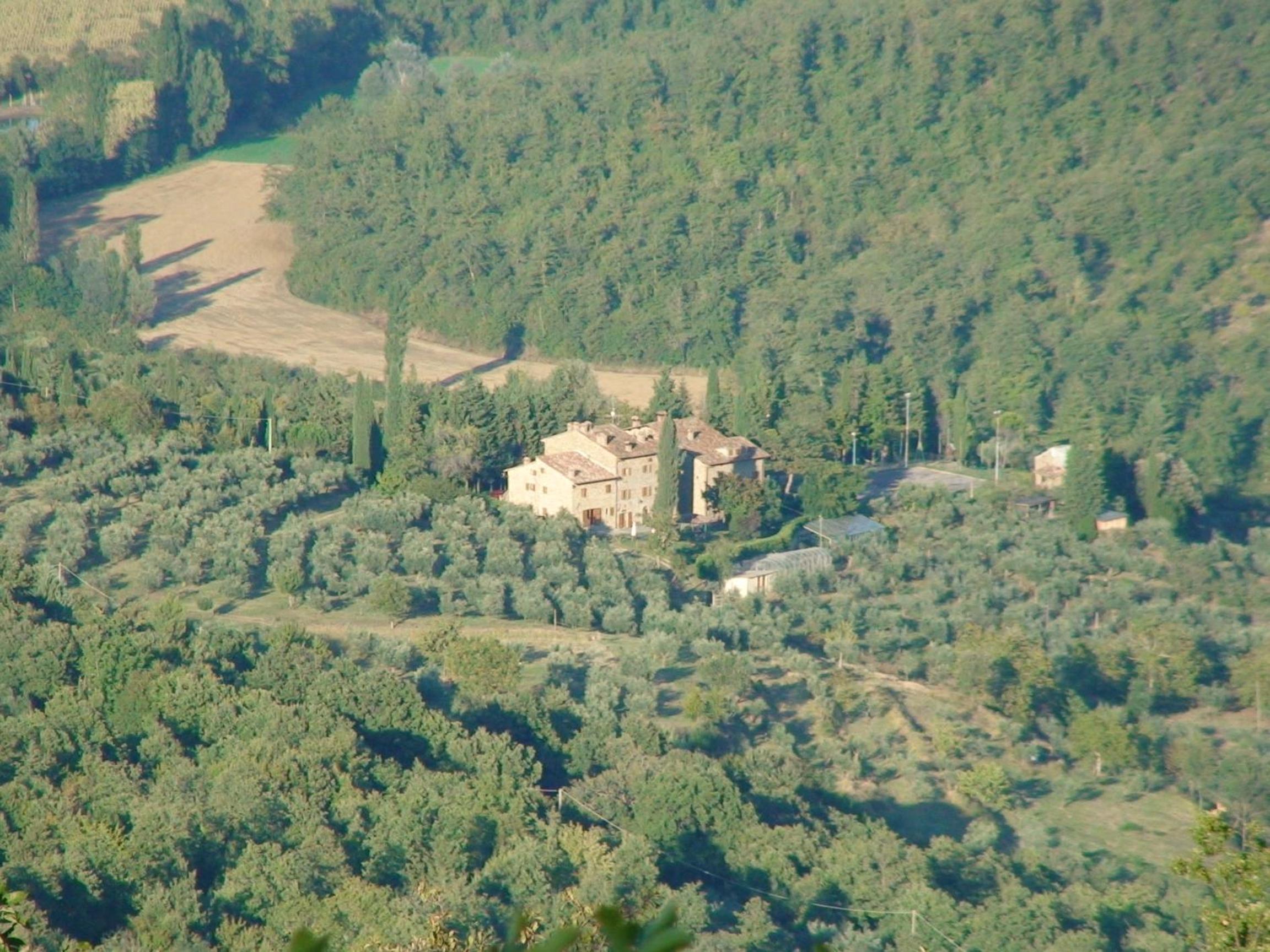 Photo 45