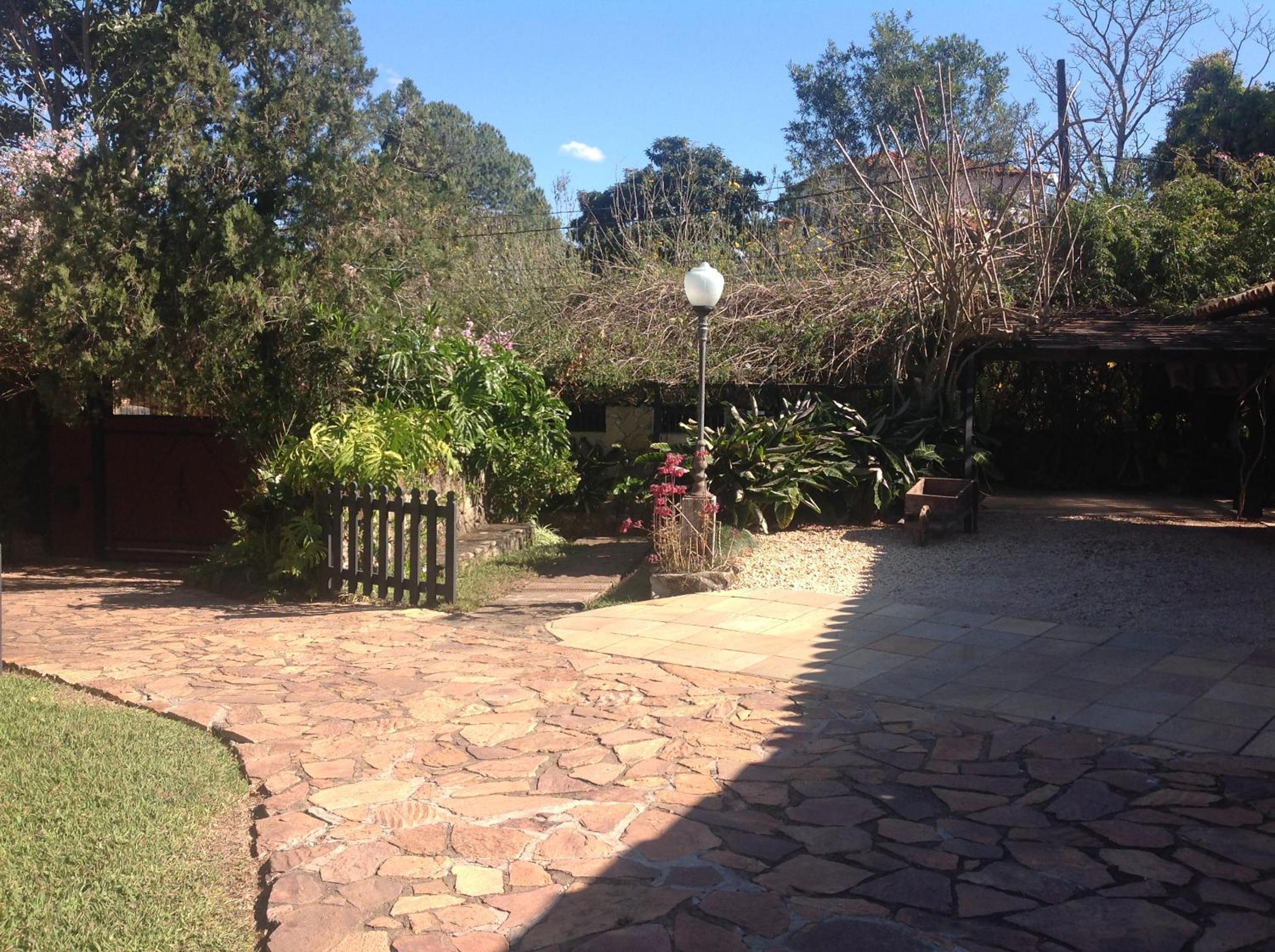 Photo 19