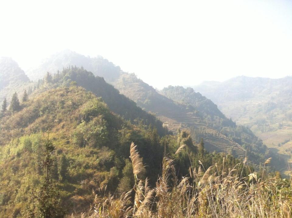 Flower hmong homestay