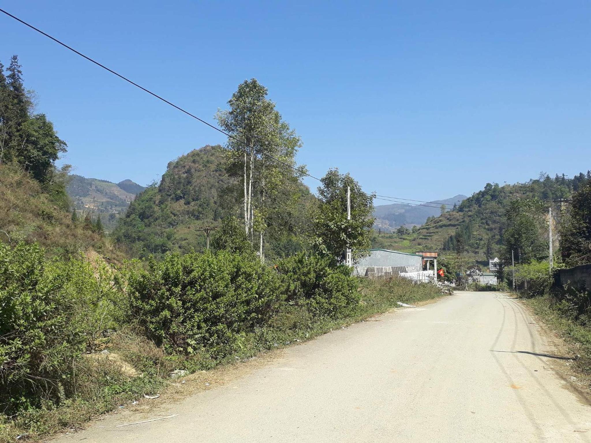 Flower hmong homestay