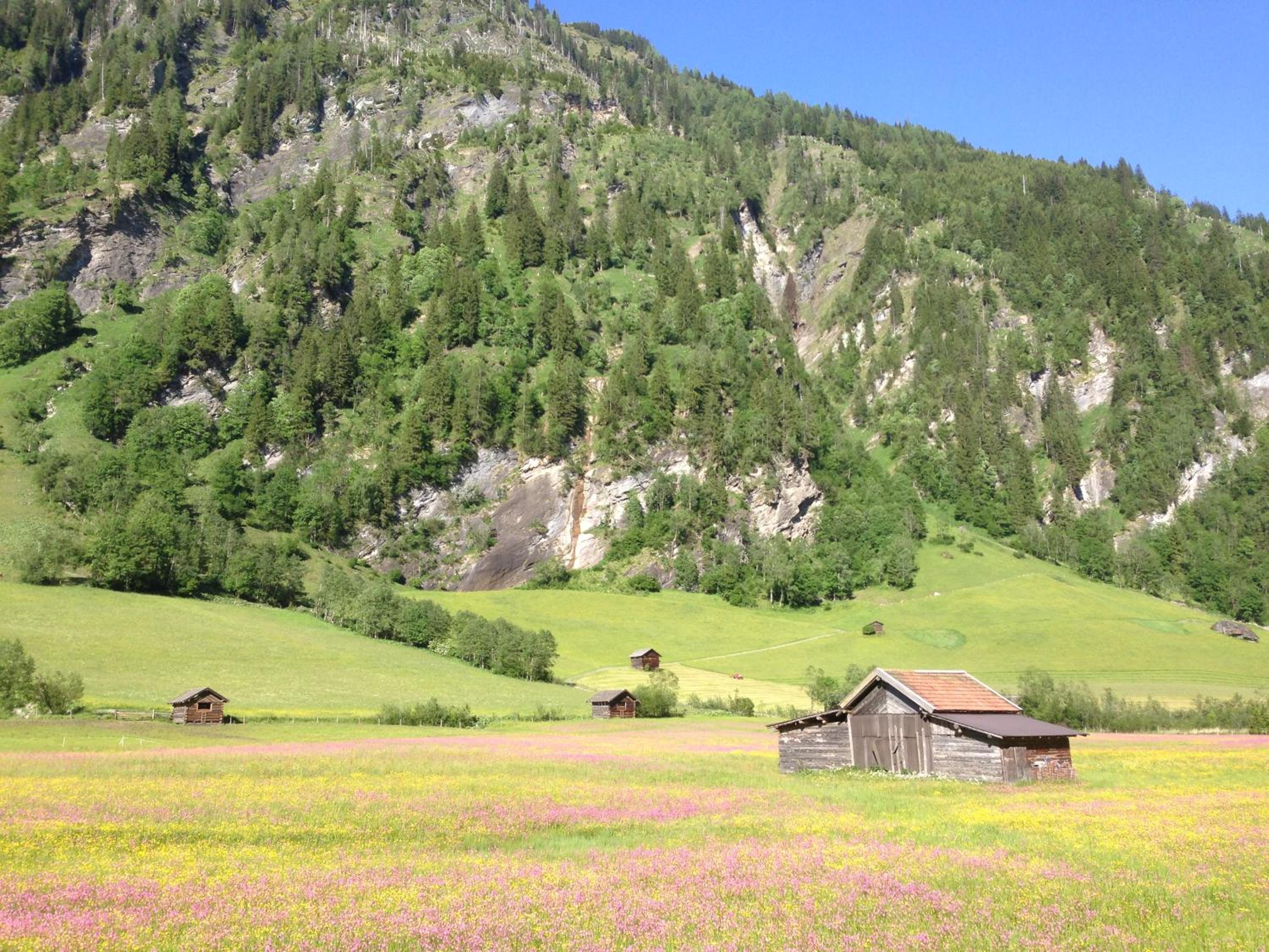 Gästehaus Anna