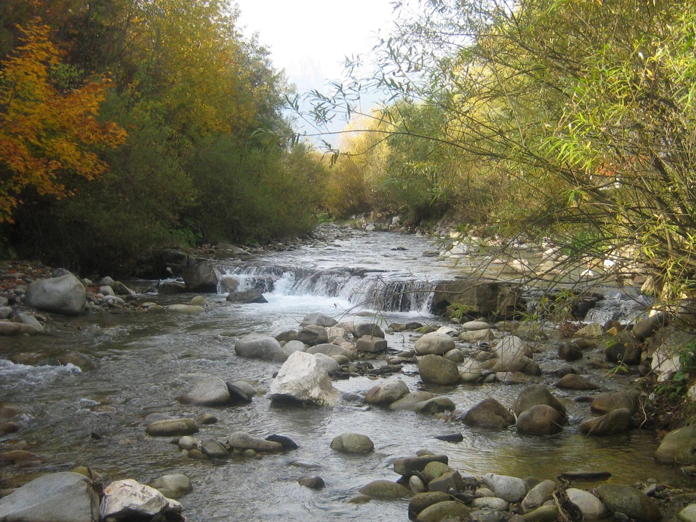 Photo 49