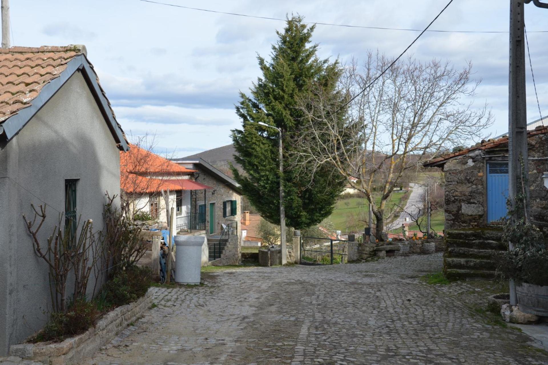 Photo 33