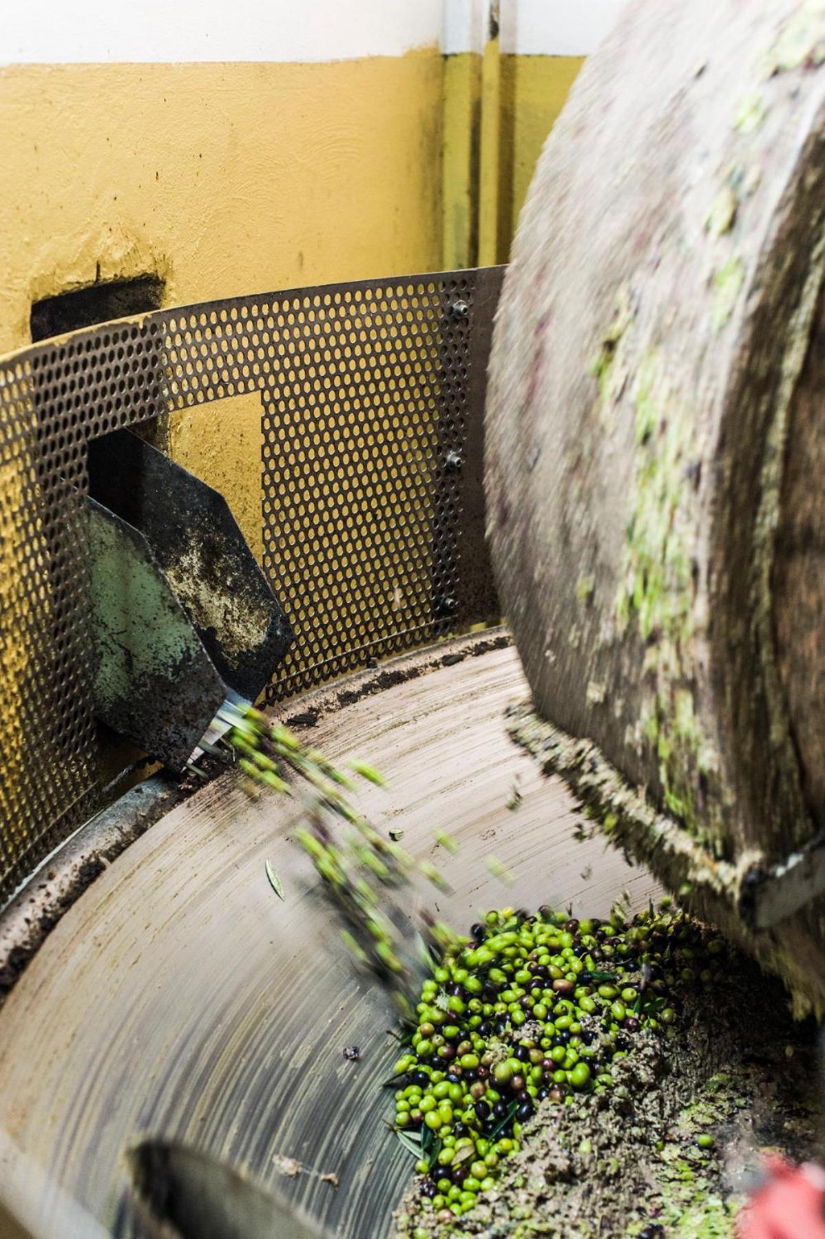 Photo 44