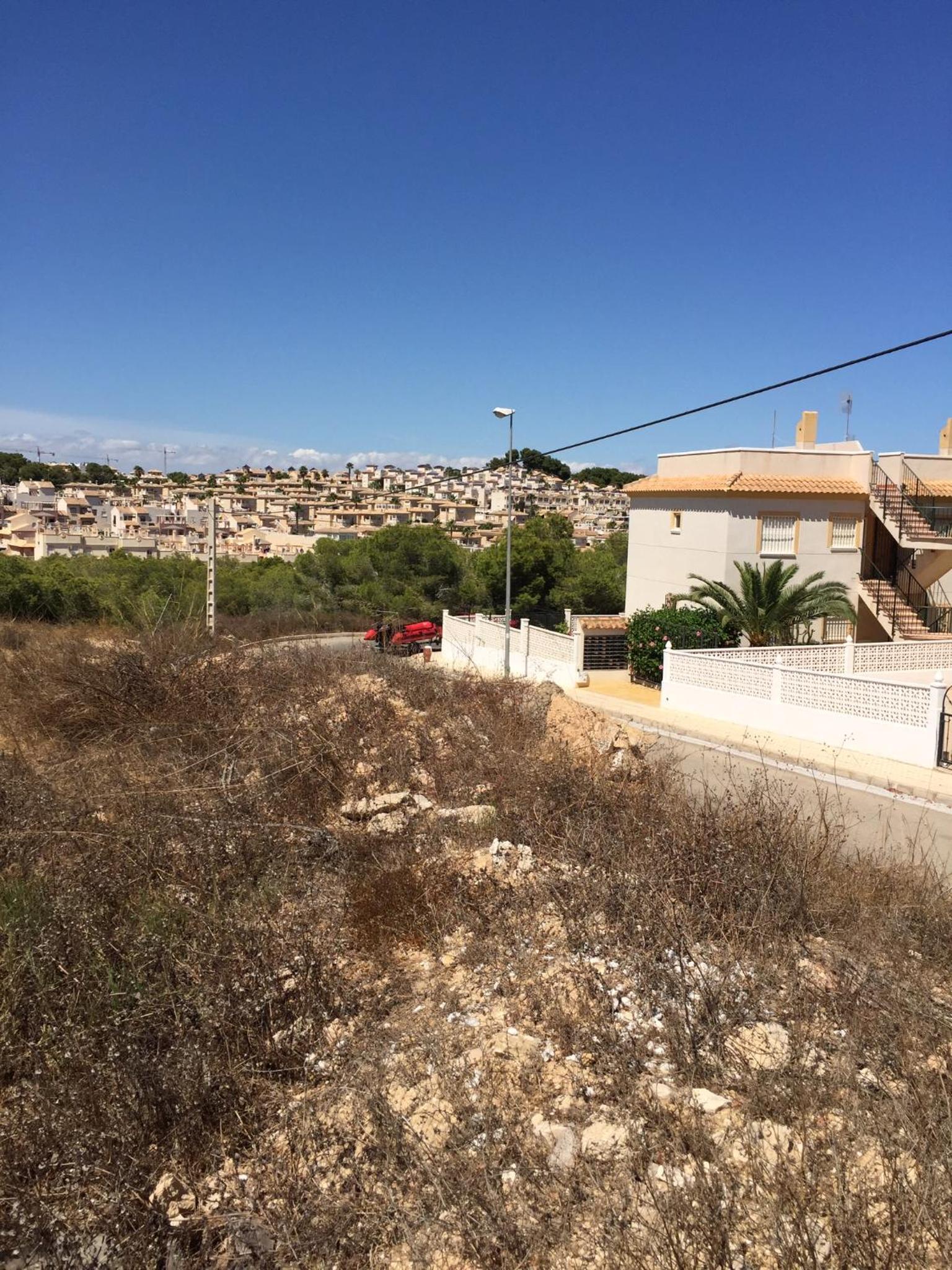 Photo 46