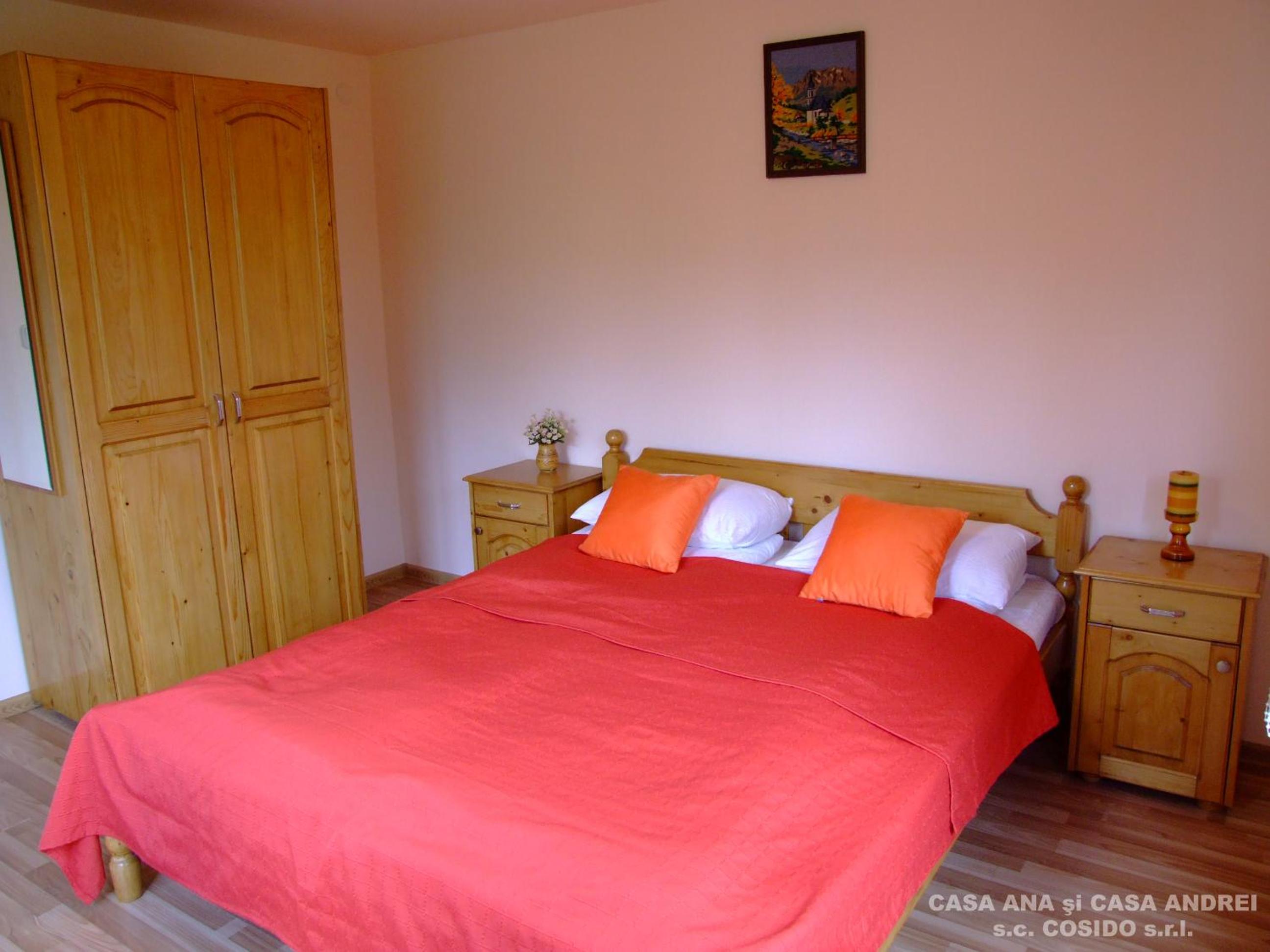 Casa Andrei Vatra Dornei