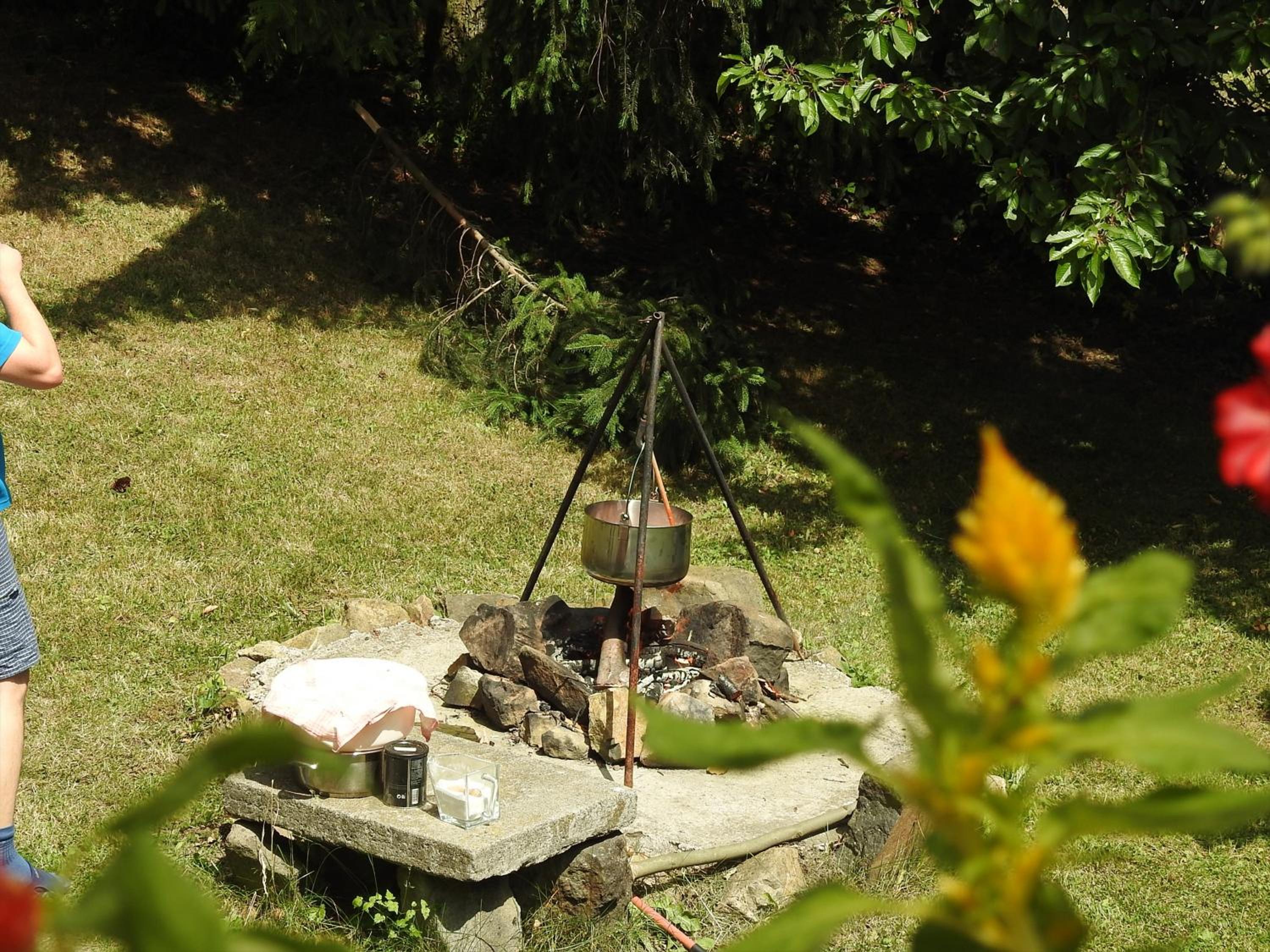 Photo 45