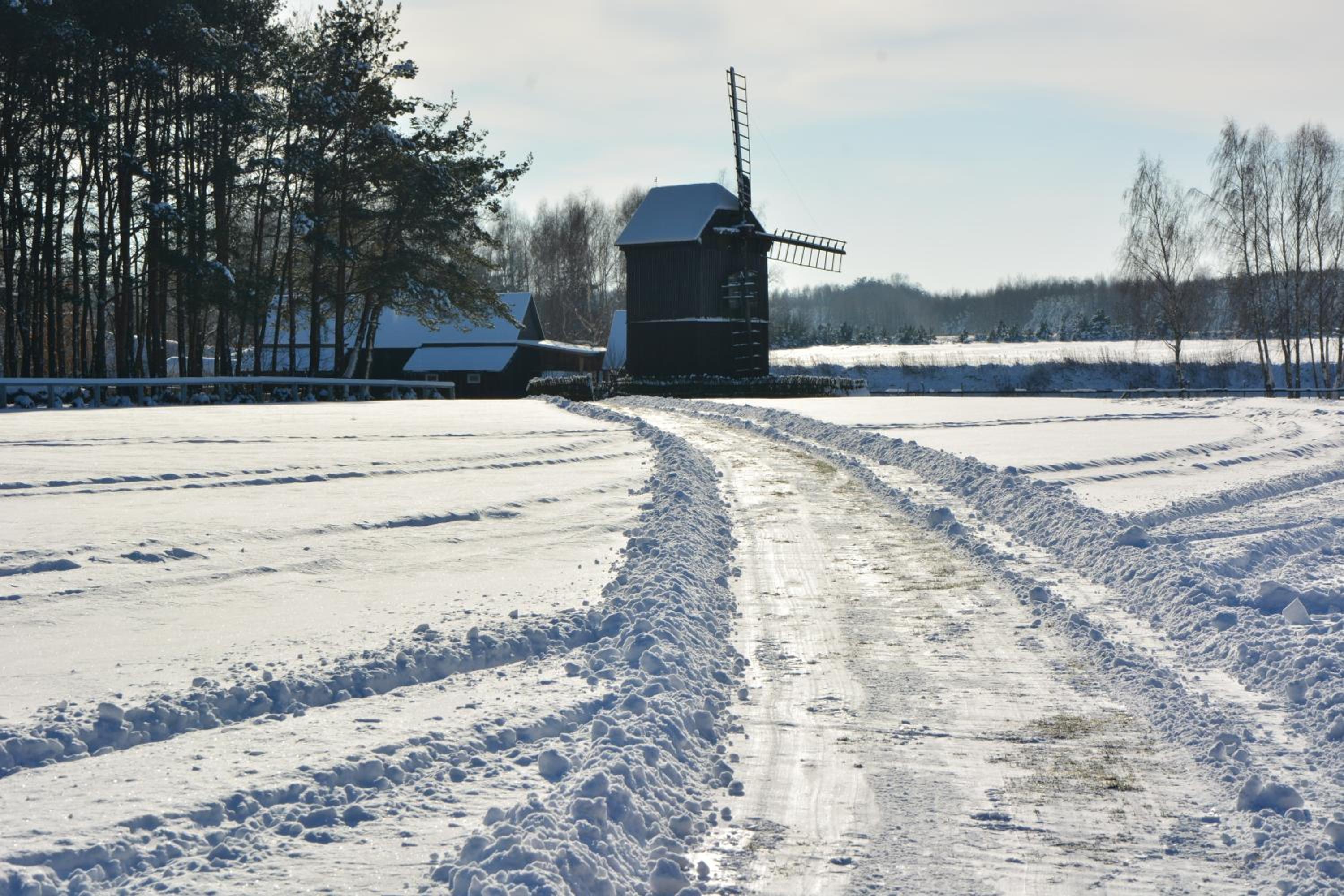 Photo 13