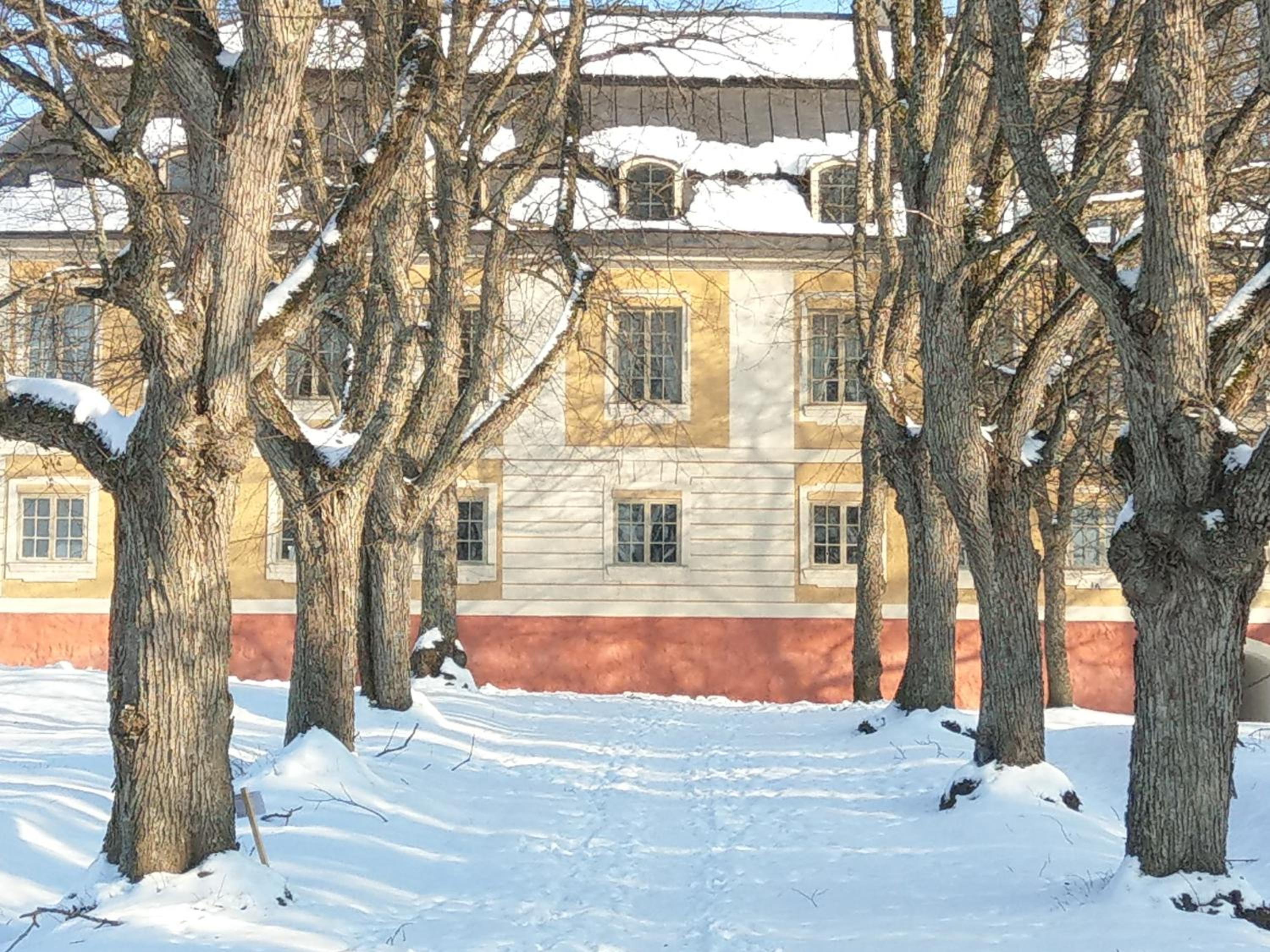 Photo 43