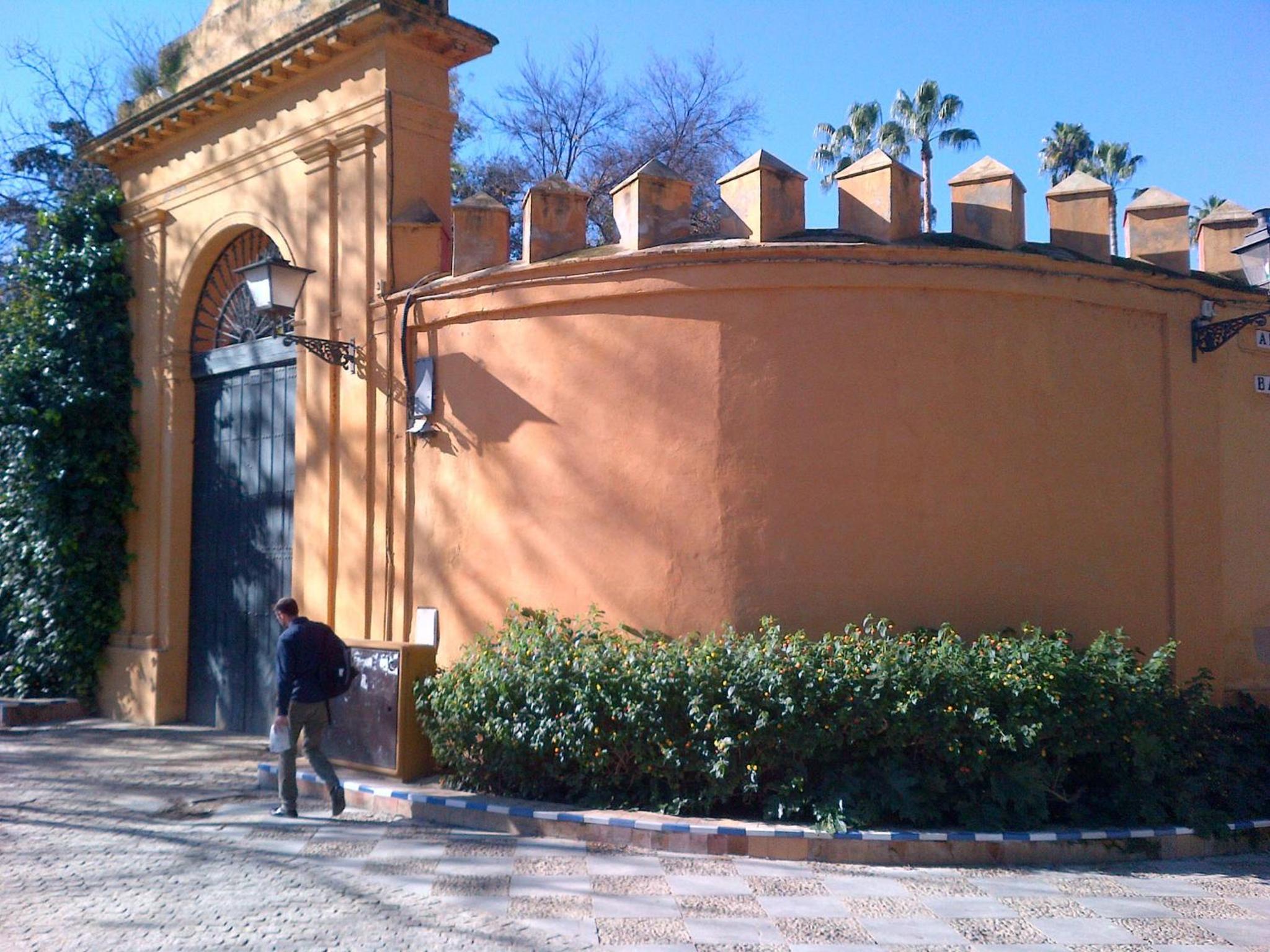 Photo 24