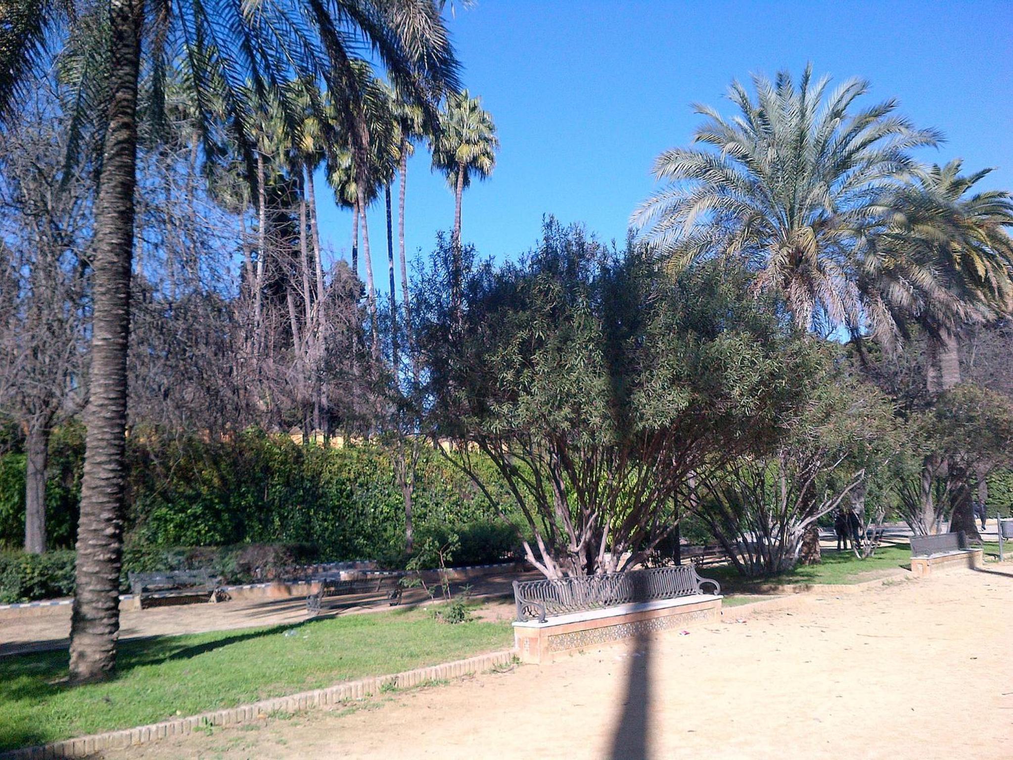 Photo 25