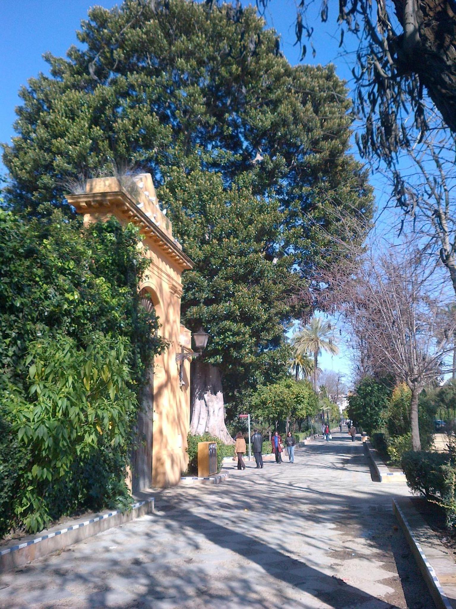 Photo 26