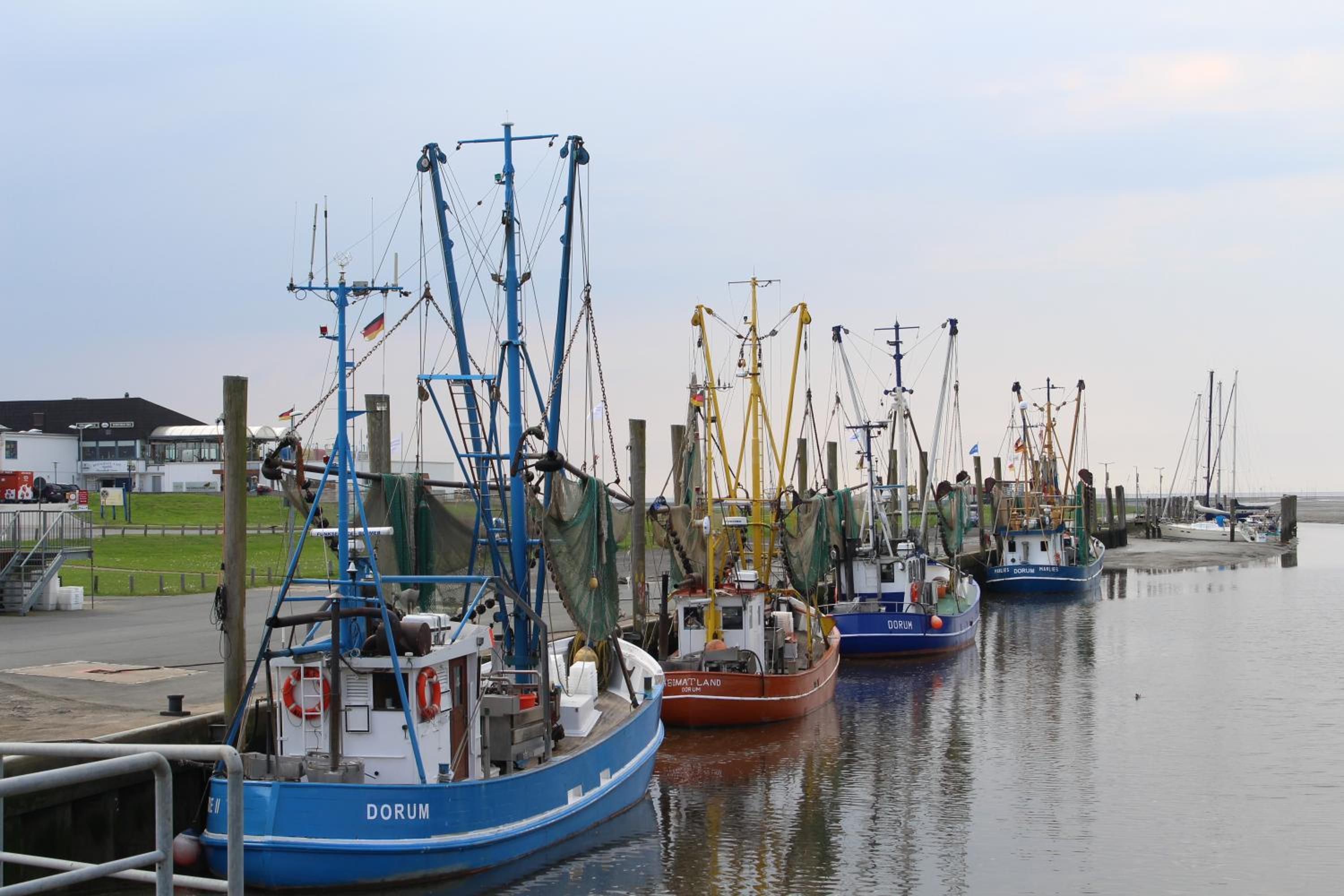 Ferienhaus Vogel - Dorum Neufeld - Nordsee